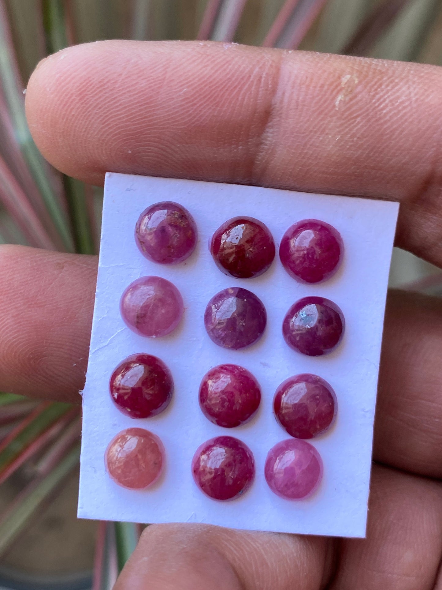 Very rare delightful ruby round cabochon pcs 12 wt 21 carats size 7mm unheated untreated ruby cabochons