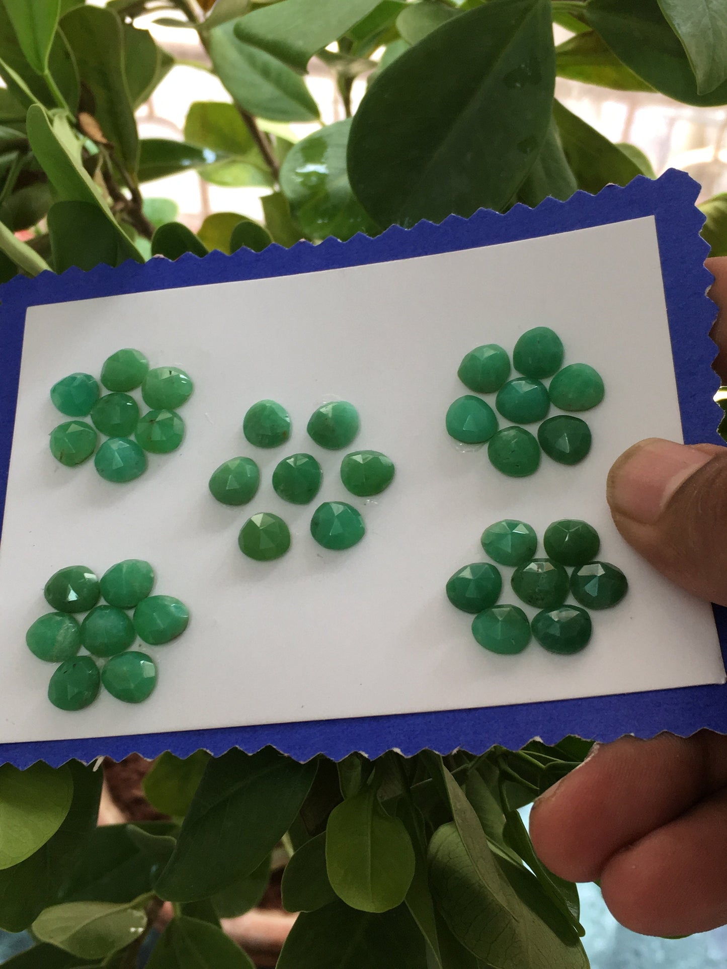 Nice beautiful lot green chrysoprase rosecut weight 53.10 cts pcs 35 size 7.7mm-8.4x7.5mm chrysoprase rosecut