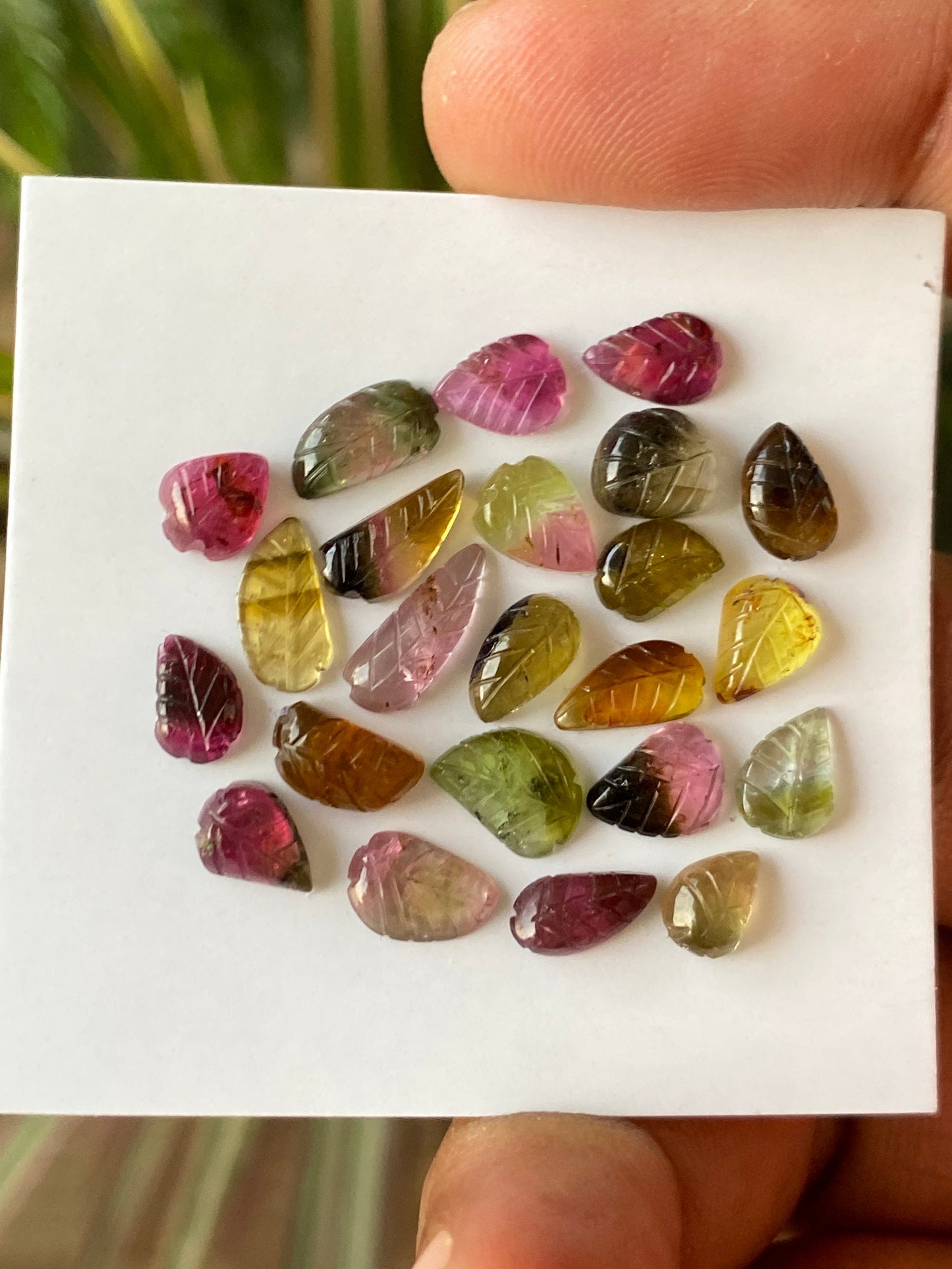 Vivacious Bicolor Watermelon tourmaline leaves carving  multi tourmaline carvings wt 19 carats pcs 23 size 6x4mm-12x4mm tourmaline leaves