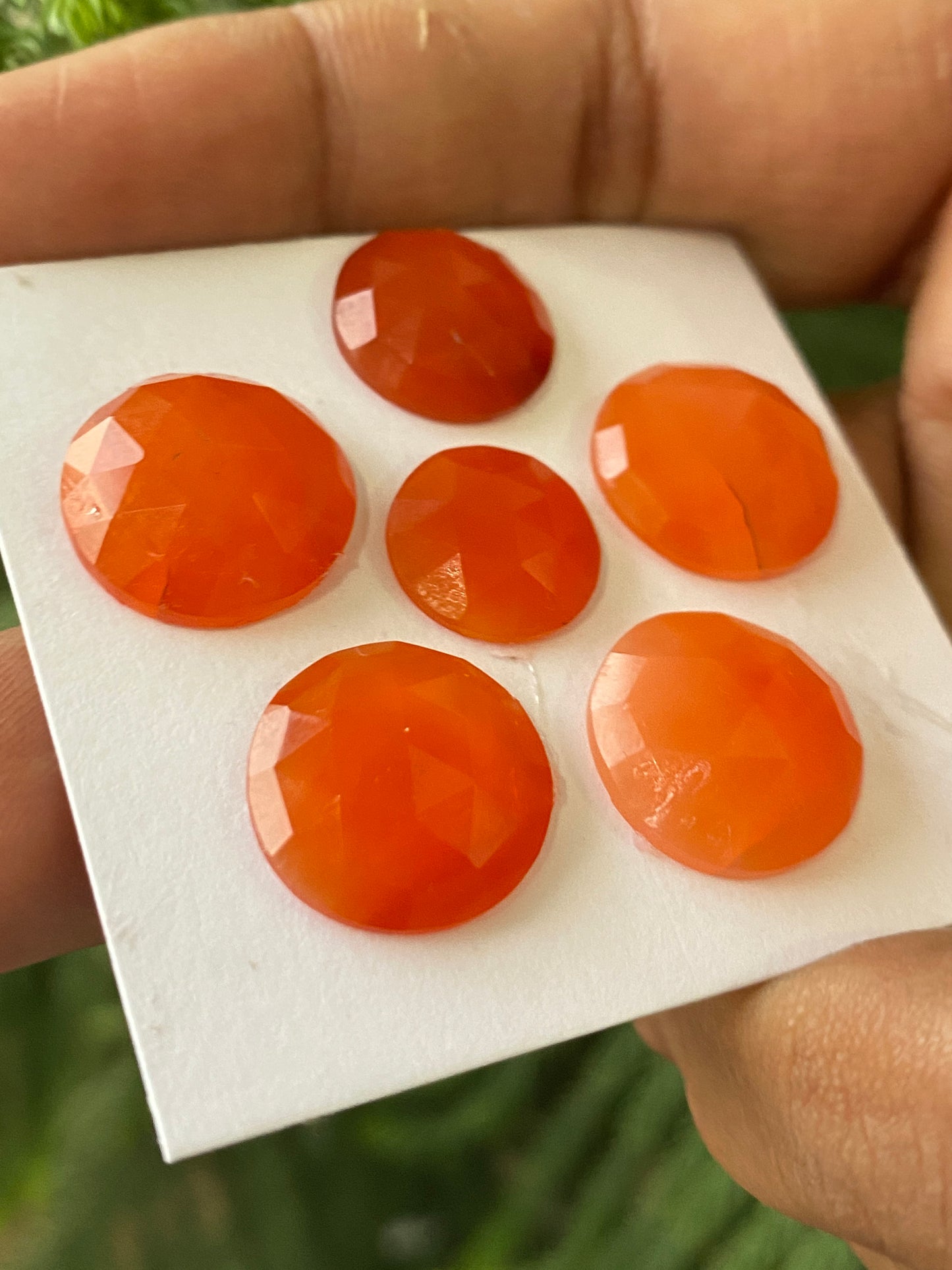 Cute rare Carnelian rosecut round shape wt 43 carats size 12.5-15.6mm pcs 6 aaa quality carnelian rosecut cabochons