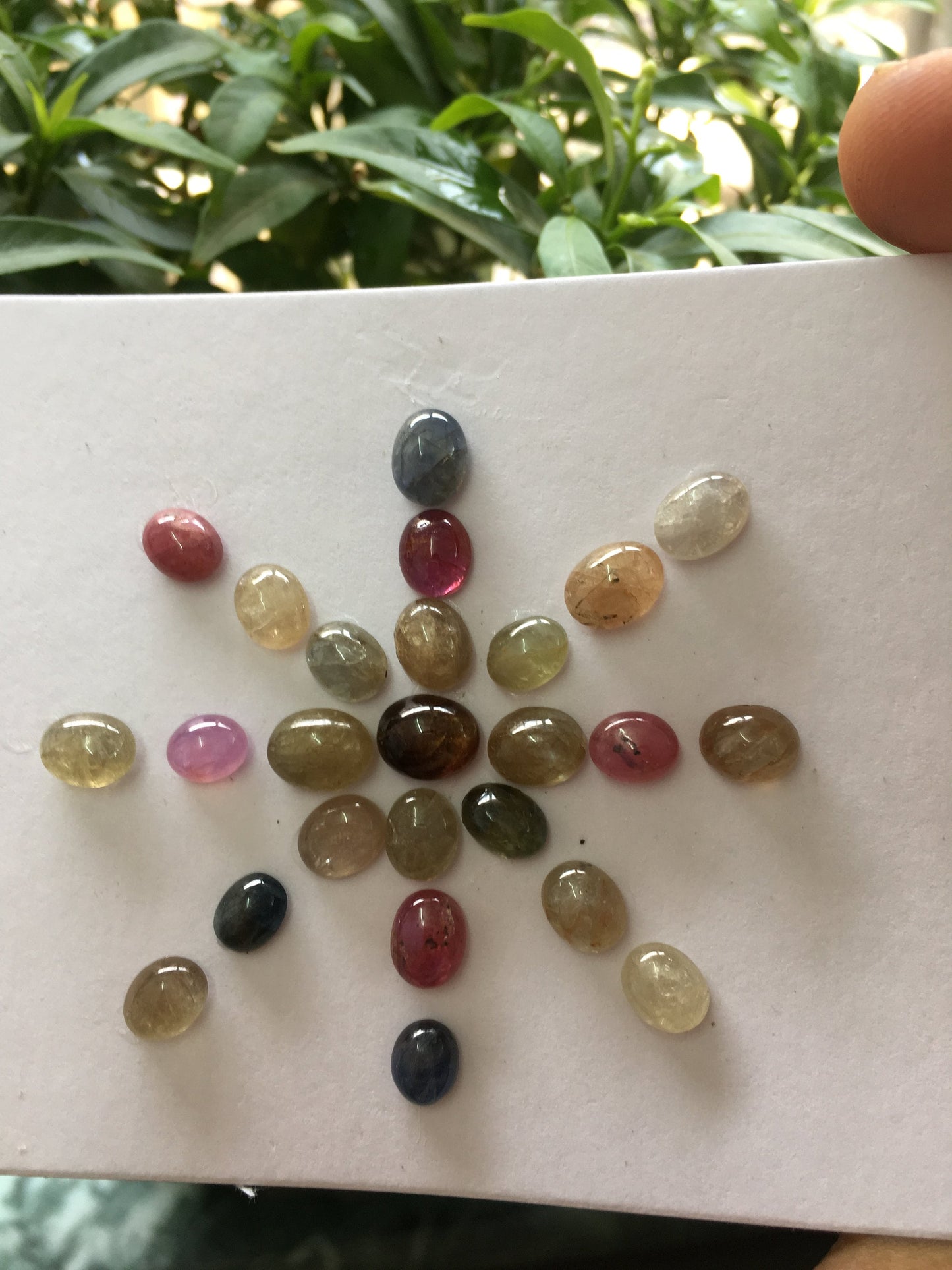 Rare cute umba natural sapphire unheated untreated sapphire cabochons weight 48.60 carats size 6x5mm to 8x6mm pieces 41