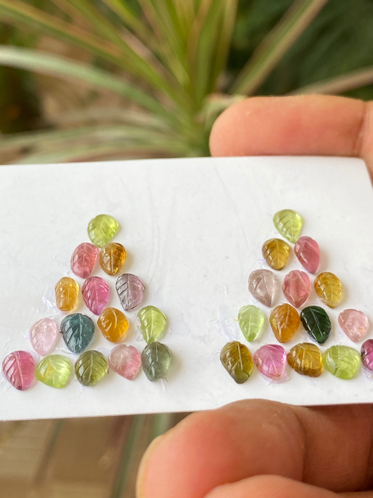 Rare Watermelon tourmaline leaf carving earrings supply multi tourmaline wt 13 cts pcs 30 size 7x4mm-5x4mm tourmaline leaf carving earrings