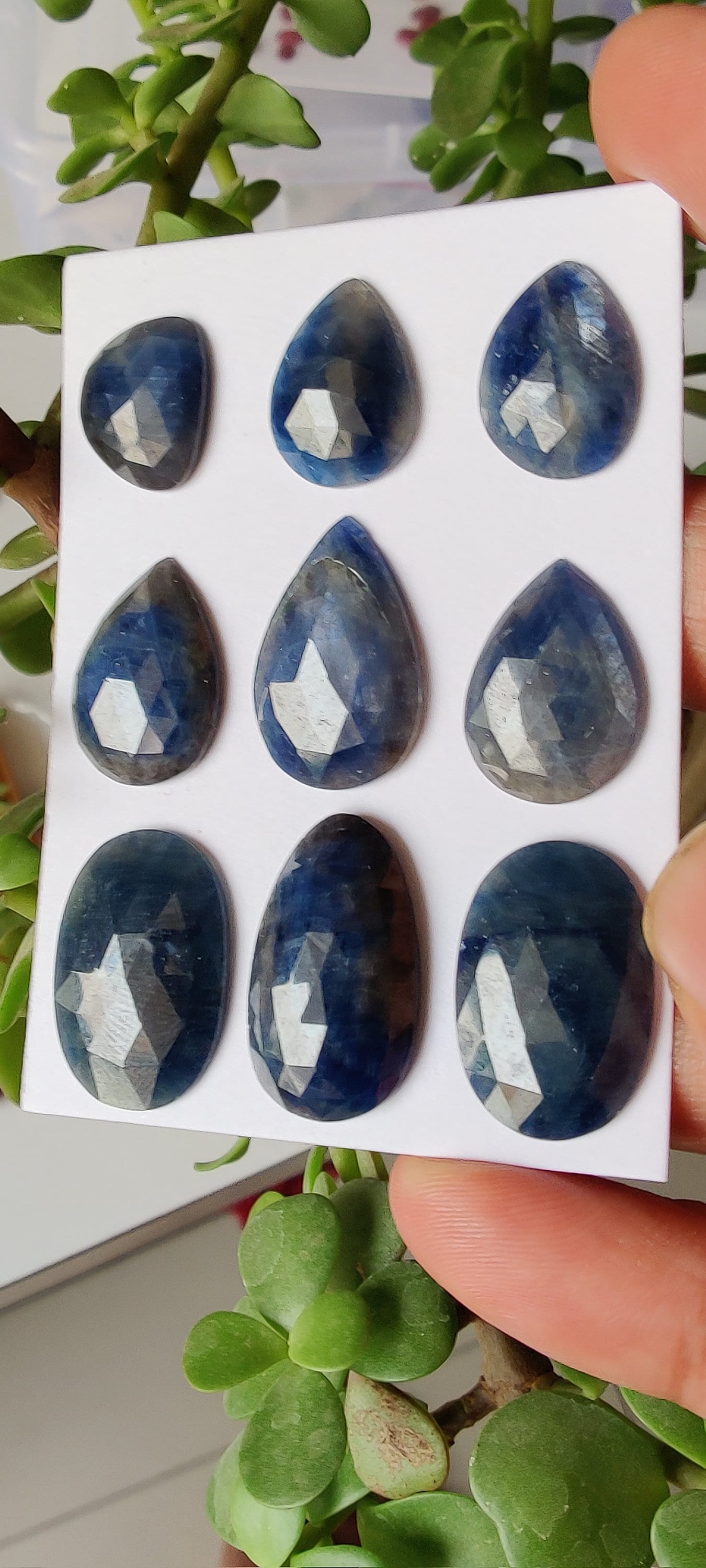 Beautiful Rare Natural unheated untreated blue sapphire rosecut pear shape 15x12mm-23x15mm wt 98 carats pcs 9  unheated sapphire rosecuts