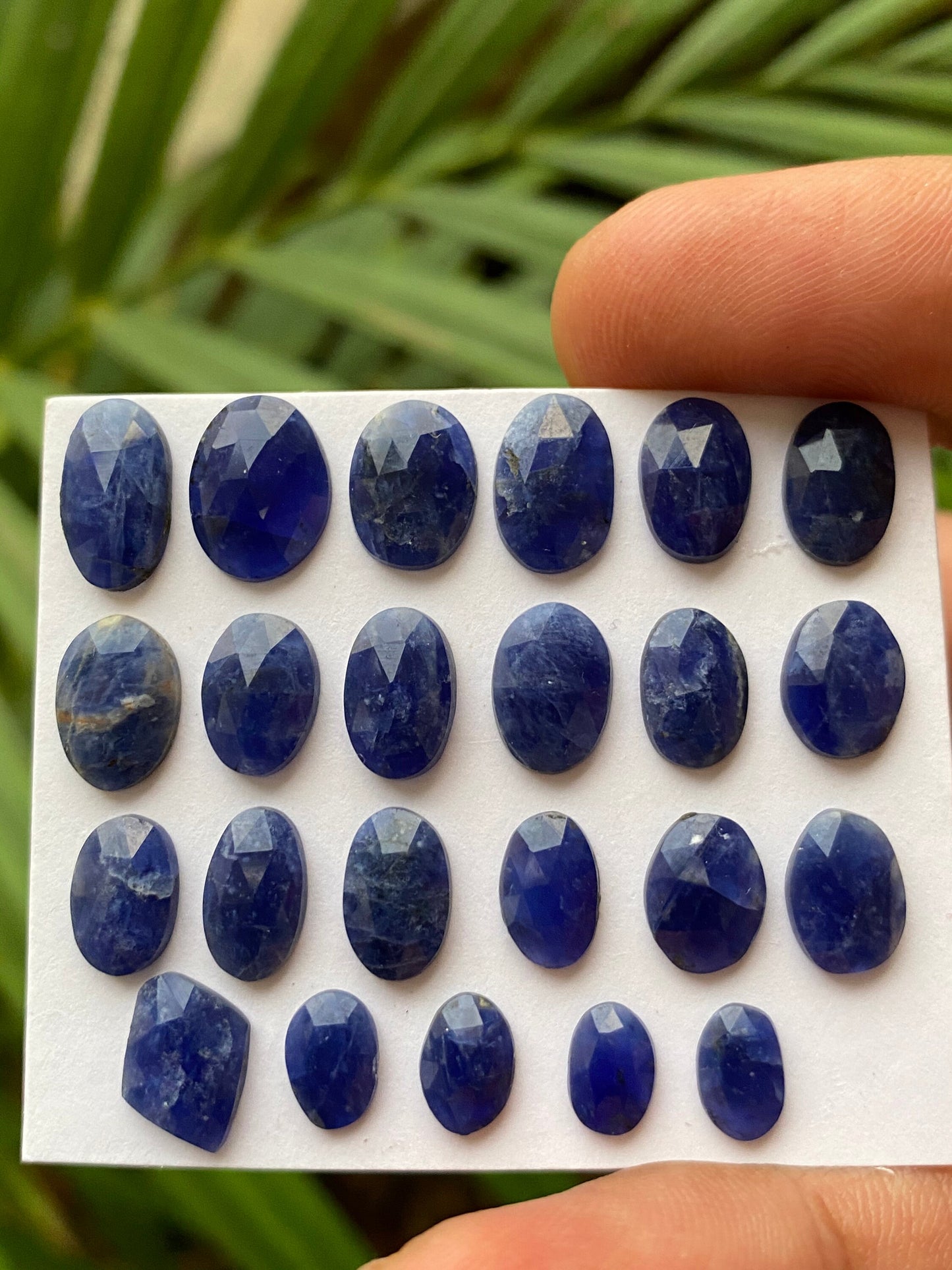 Fascinating Sodalite rosecut mixed shapes wt 25 carats  pcs 23 size 7.5x5-12x7mm natural Sodalite beautiful color Rare Sodalite rosecut