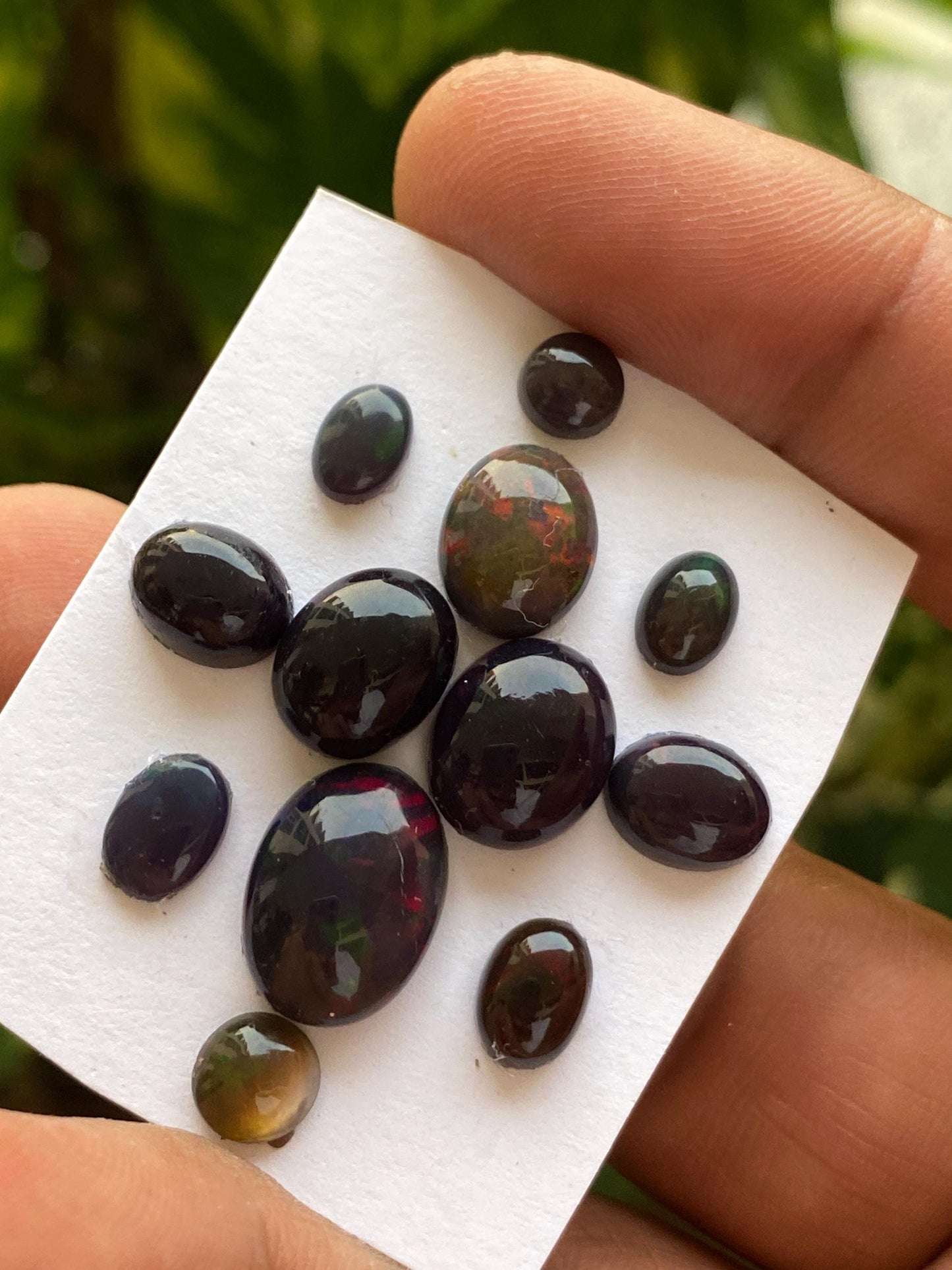 Fabulous Black opal (smoked)Natural Fire opal cabochons lot size wt 19.5 cts size 6x6-14x6mm pcs 12 opal cabochon fire black opals cabochons