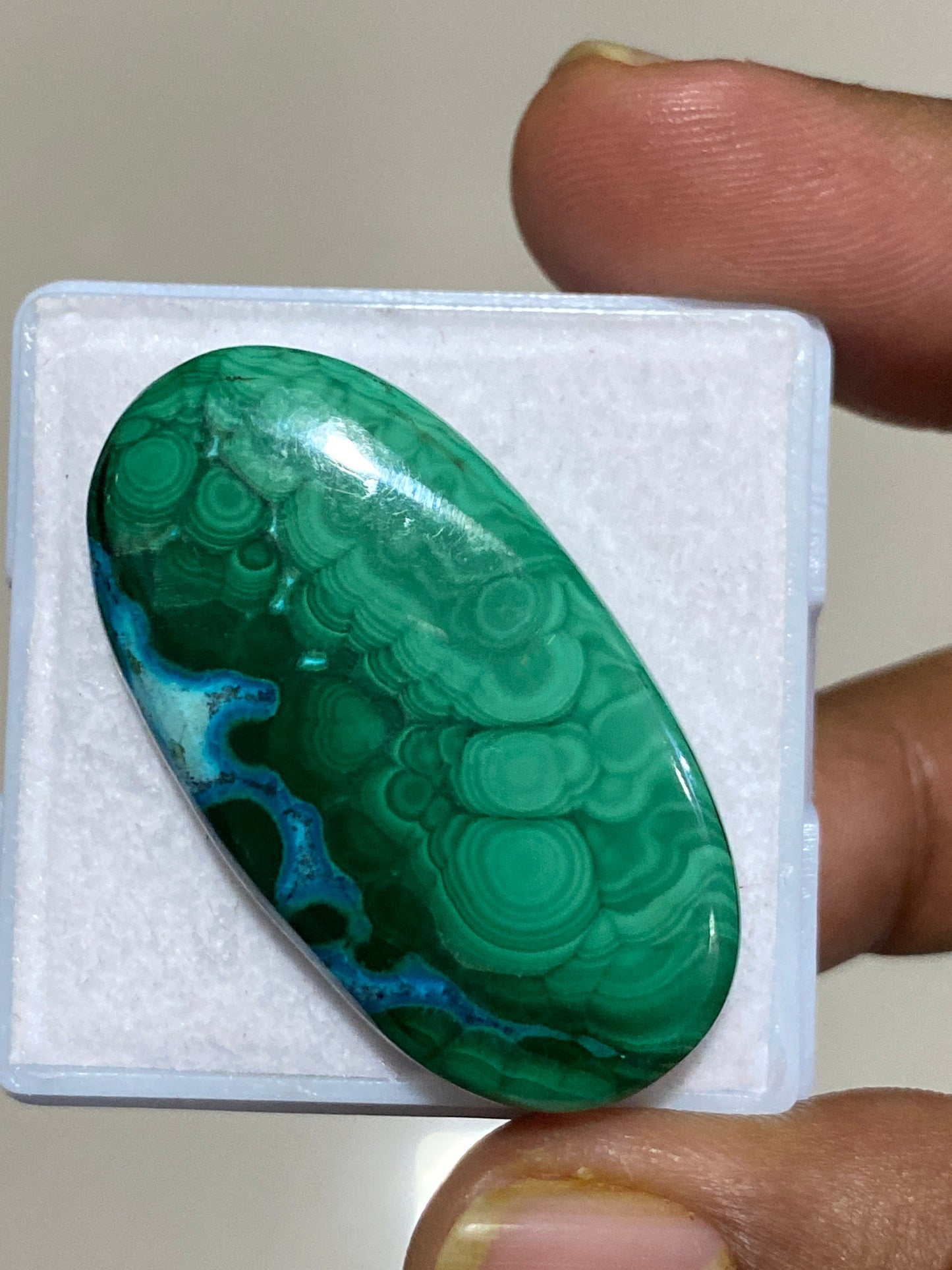 Fascinating rare huge malachite chrysocolla oval cabochon wholesale lot weight 79 carats pcs 1 size 41X22MM flatback gems