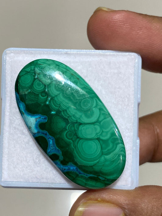 Fascinating rare huge malachite chrysocolla oval cabochon wholesale lot weight 79 carats pcs 1 size 41X22MM flatback gems