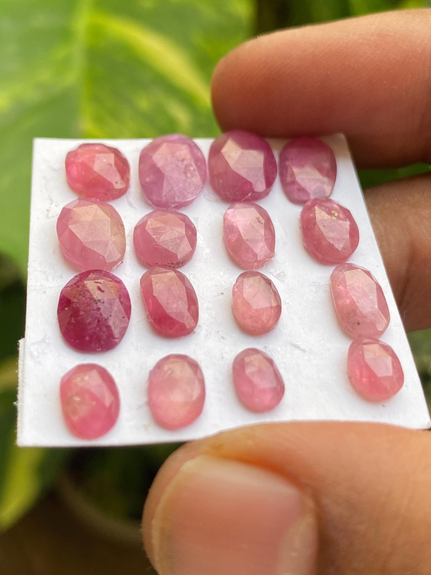 Amazing Rare natural mozambique ruby rosecut lot  mix shapes pcs 16 wt 25.70 cts size 7x4.5mm-12.5x8mm  unheated untreated ruby rosecut