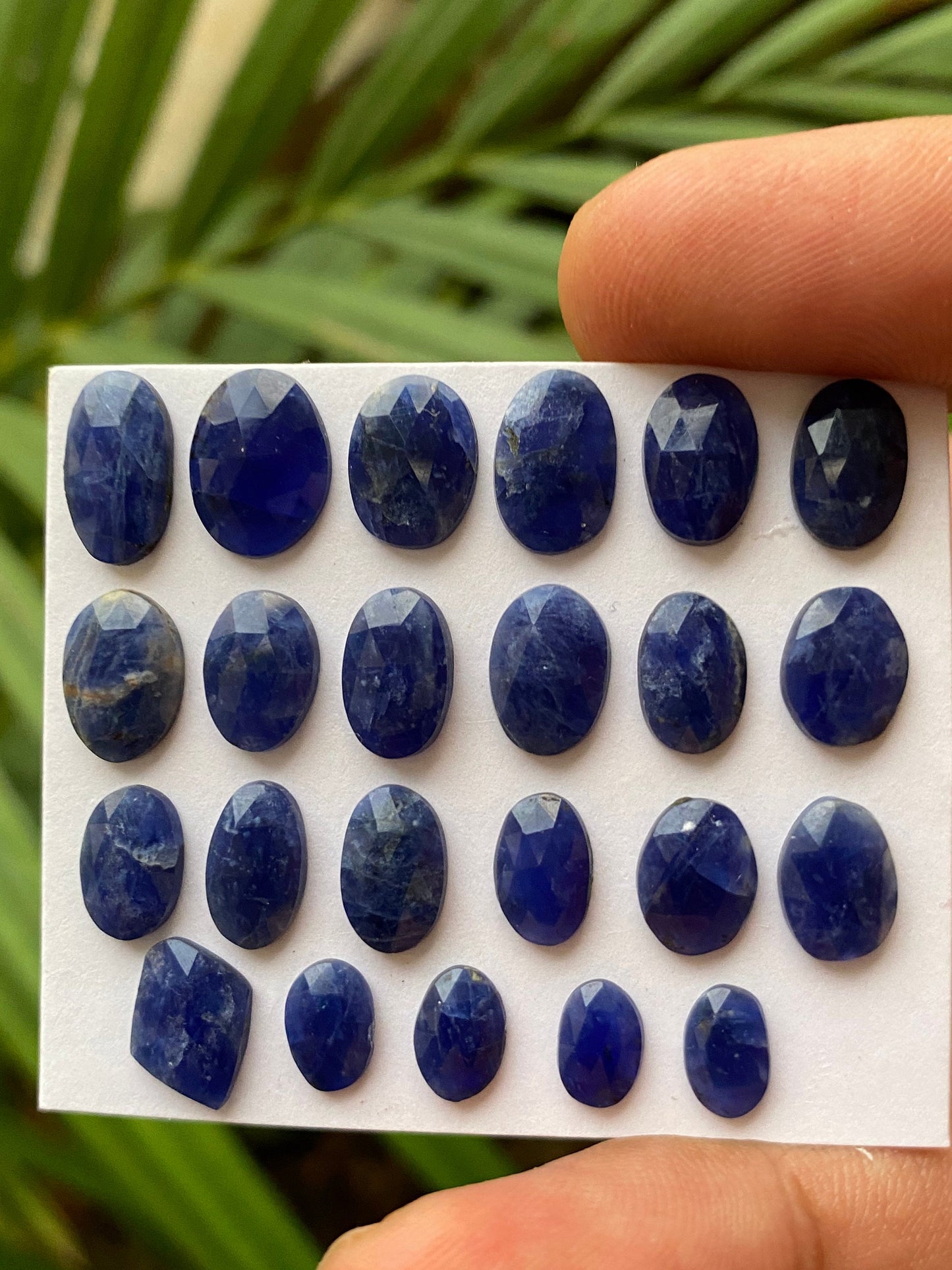 Fascinating Sodalite rosecut mixed shapes wt 25 carats  pcs 23 size 7.5x5-12x7mm natural Sodalite beautiful color Rare Sodalite rosecut