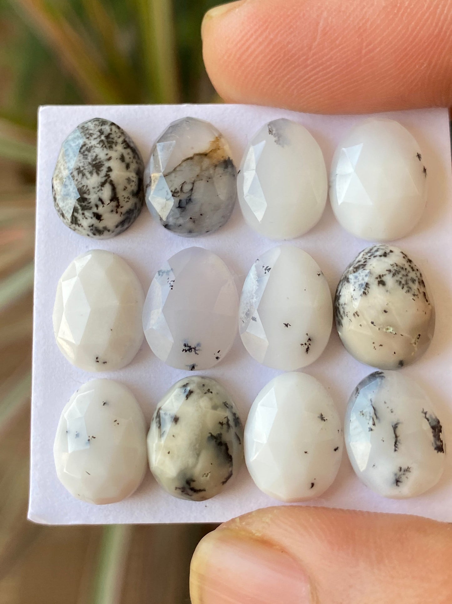 Amazing rare fancy dendrite agate egg shape rosecut flats wt 44 carats size 11x8mm-12x9mm pcs 12 rosecut gems