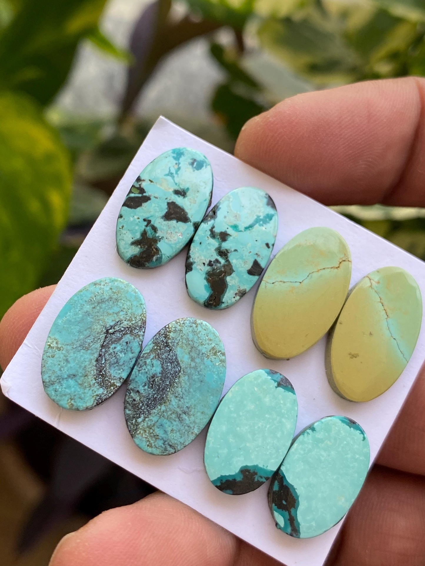 Rare Turquoise pair natural hubei mines rare pattern  smooth turquoise pcs 8 wt 56  carats good size 17x10-20x11mm turquoise earrings supply