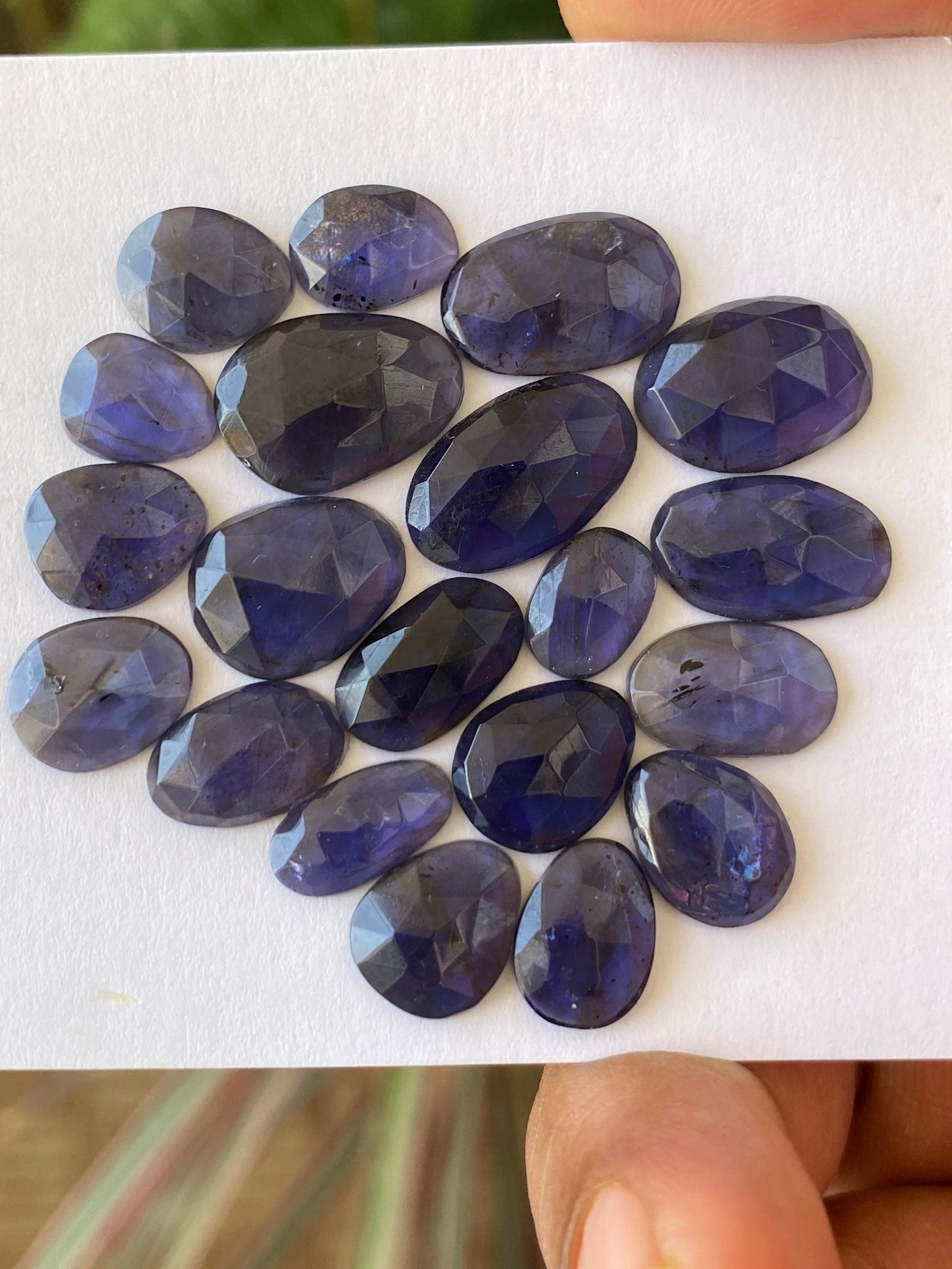 Stunning Rare iolite rosecut wholesale lot fine quality weight 39 carats size 9x7mm-15x11mm pcs 20 iolite rosecut