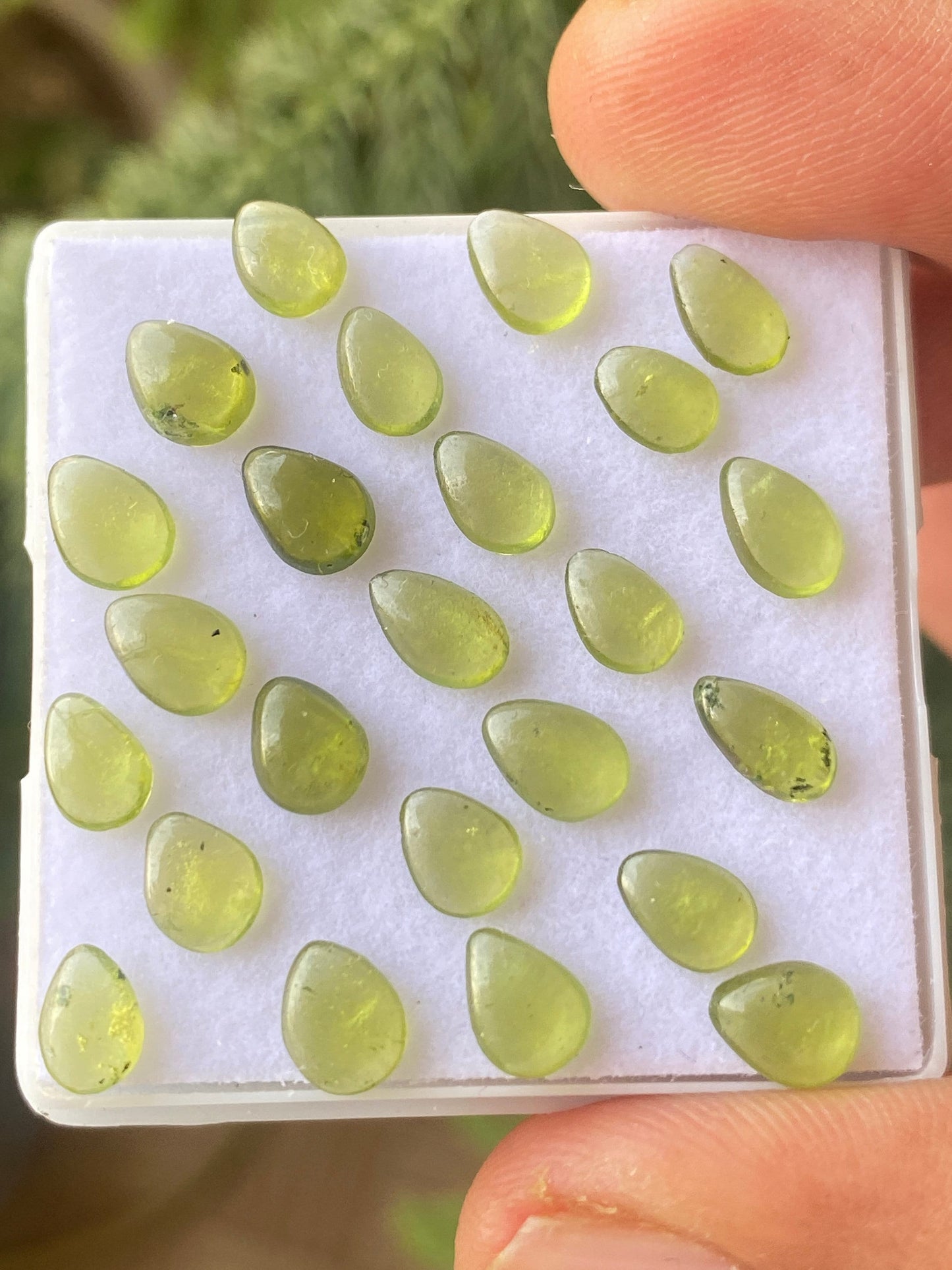 Dazzling fine quality peridot cabochons ovals wholesale lot weight 12.30 carats size 7x5mm pieces 24 peridot cabochons