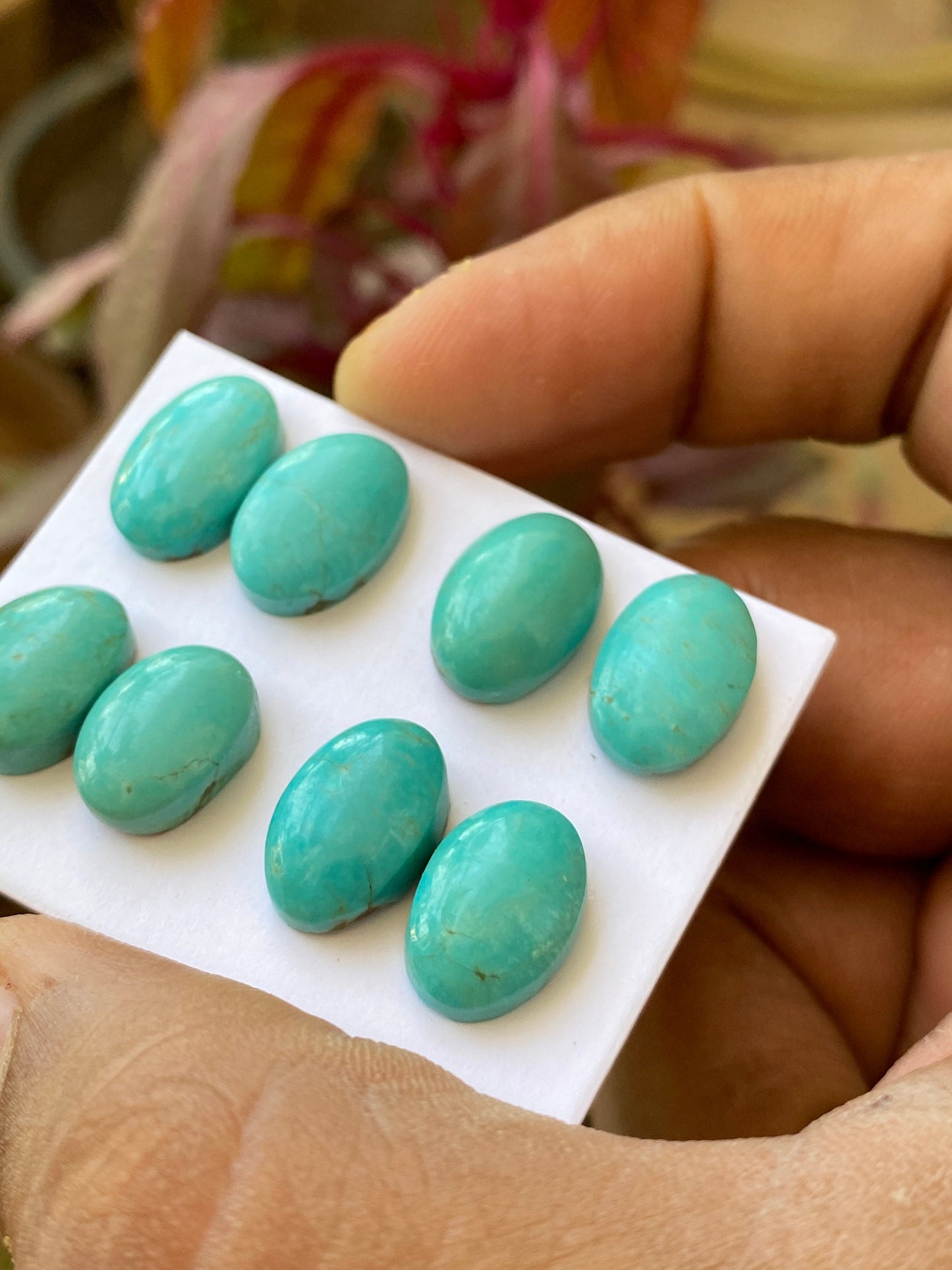 Awesome rare Turquoise cabochons pair earrings natural Arizona mines smooth ovals pcs 8 wt 41 carats 13x9-14x10mm turquoise cabochon