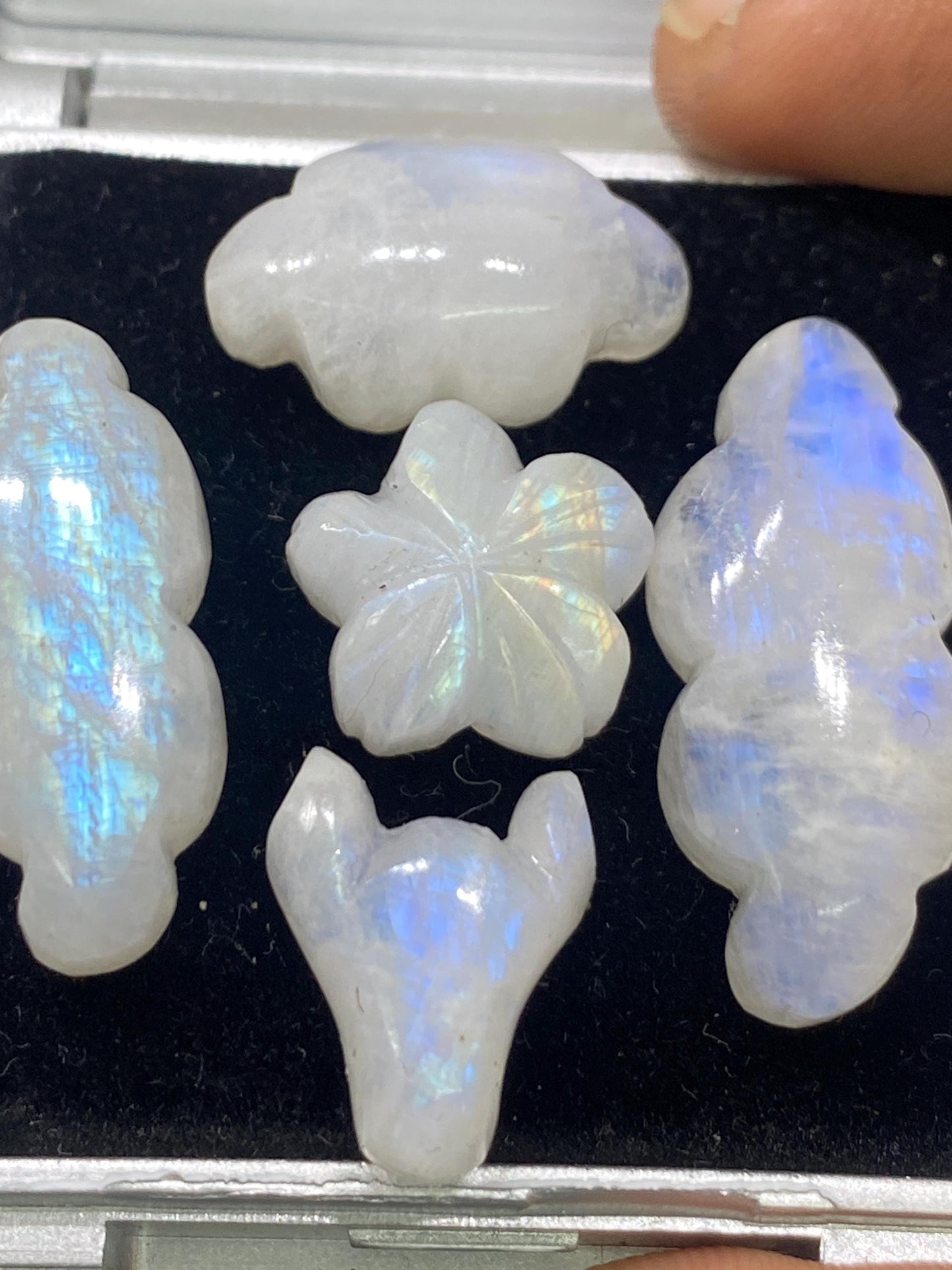 Gorgeous rare white moonstone cloud carving  bill head flower blue fire moonstone pcs 5 wt 81 cts size 15mm-30x13mm moonstone carving