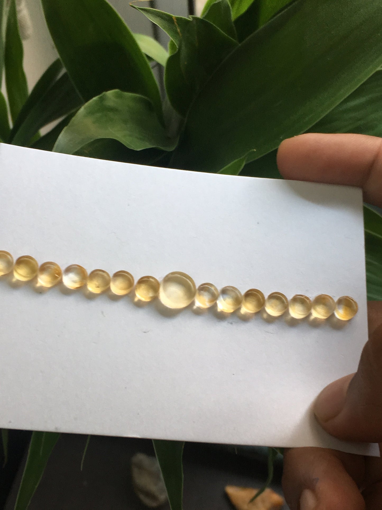 citrine  round coin cabochons bracelet wt 18.10 cts pcs 15 size 6.2mm to 9.5mm round coin shape gems supply