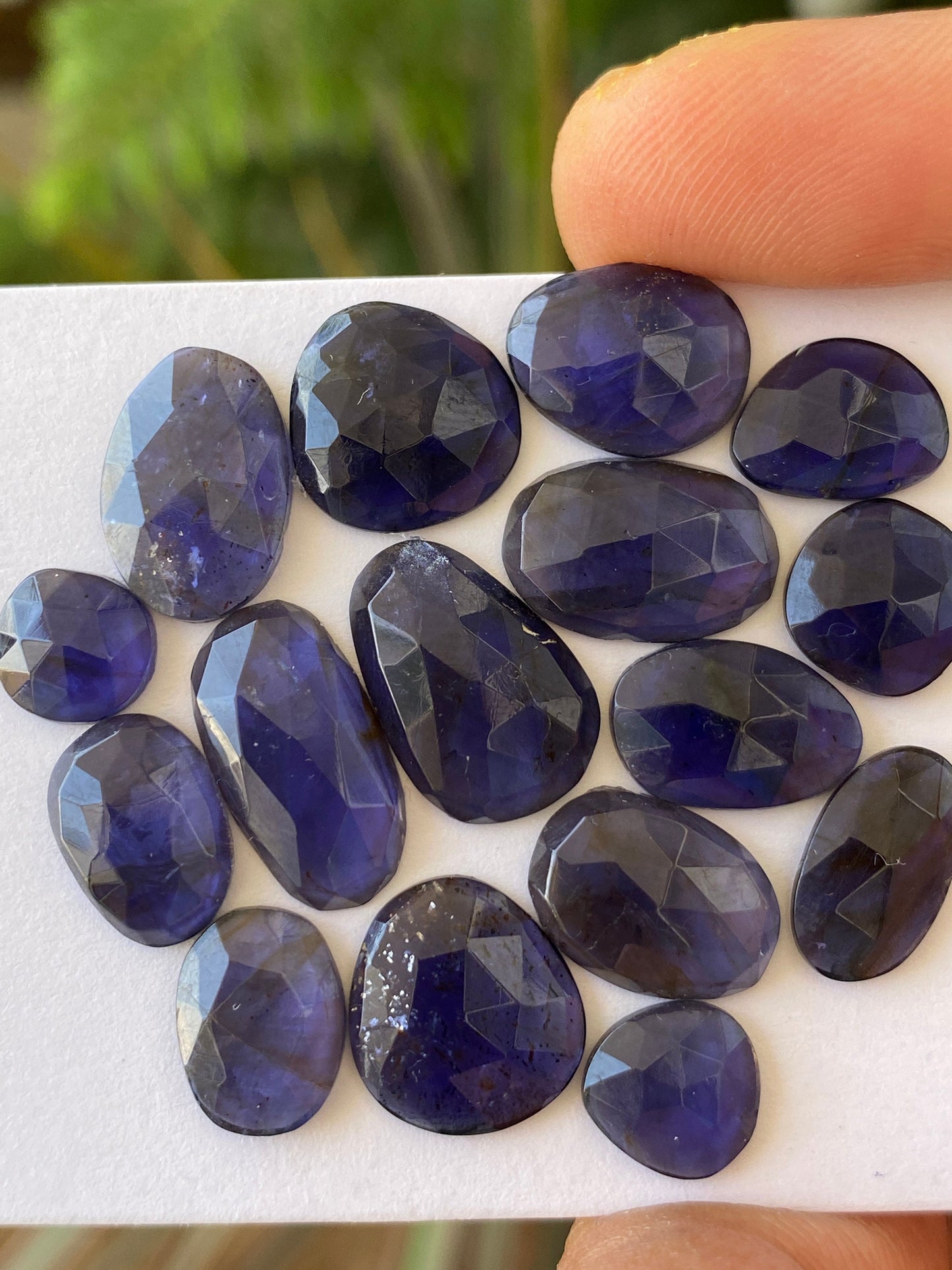 Ravishing Rare iolite rosecut wholesale lot fine quality weight 36 carats size 8mm-16x9mm pcs 16 iolite rosecut