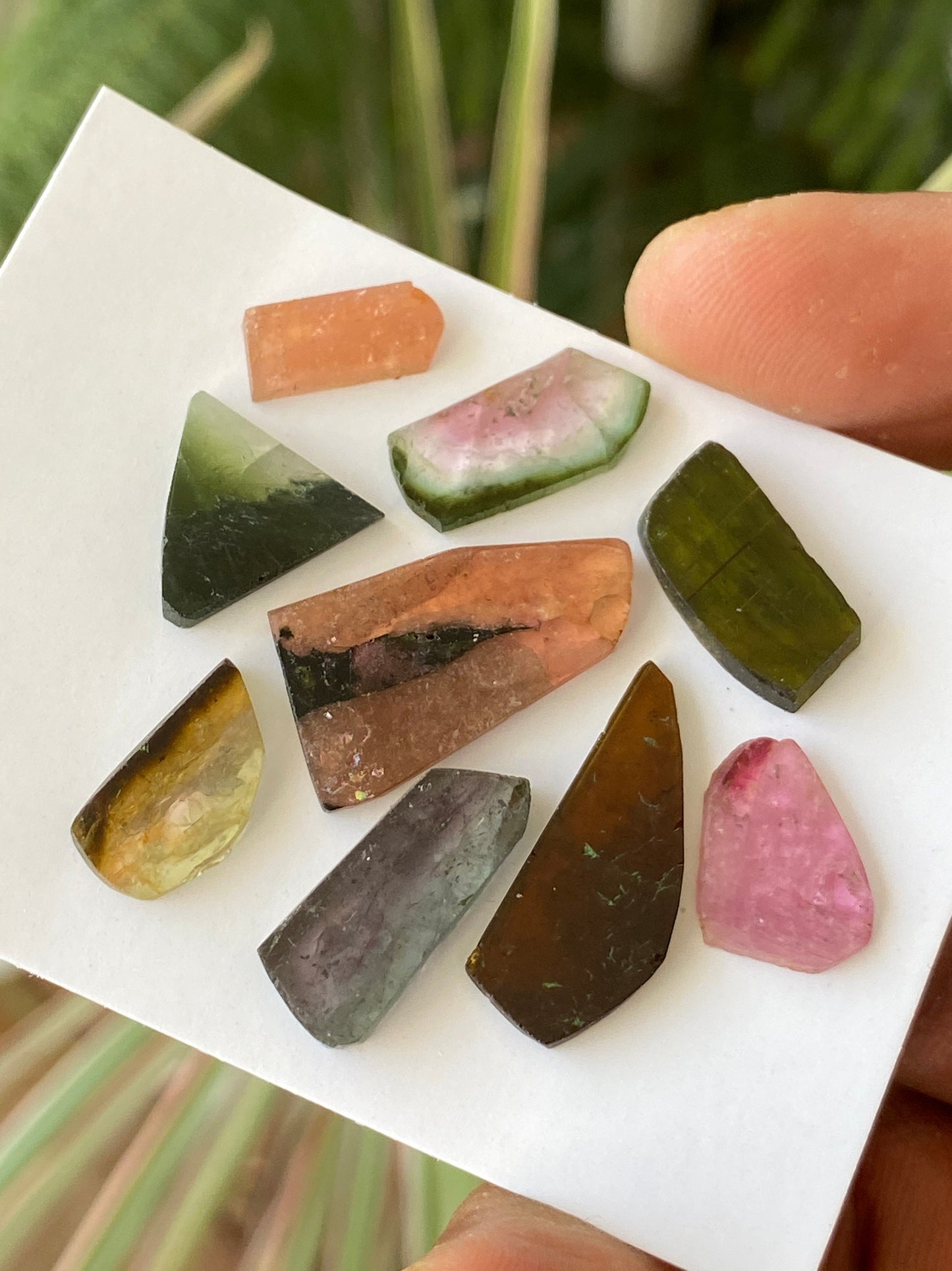 Vivacious Watermelon multi tourmaline geometric cut flats lot fine quality wt 37 cts size 15x10mm-24x13mm pcs 9 natural tourmaline geometric