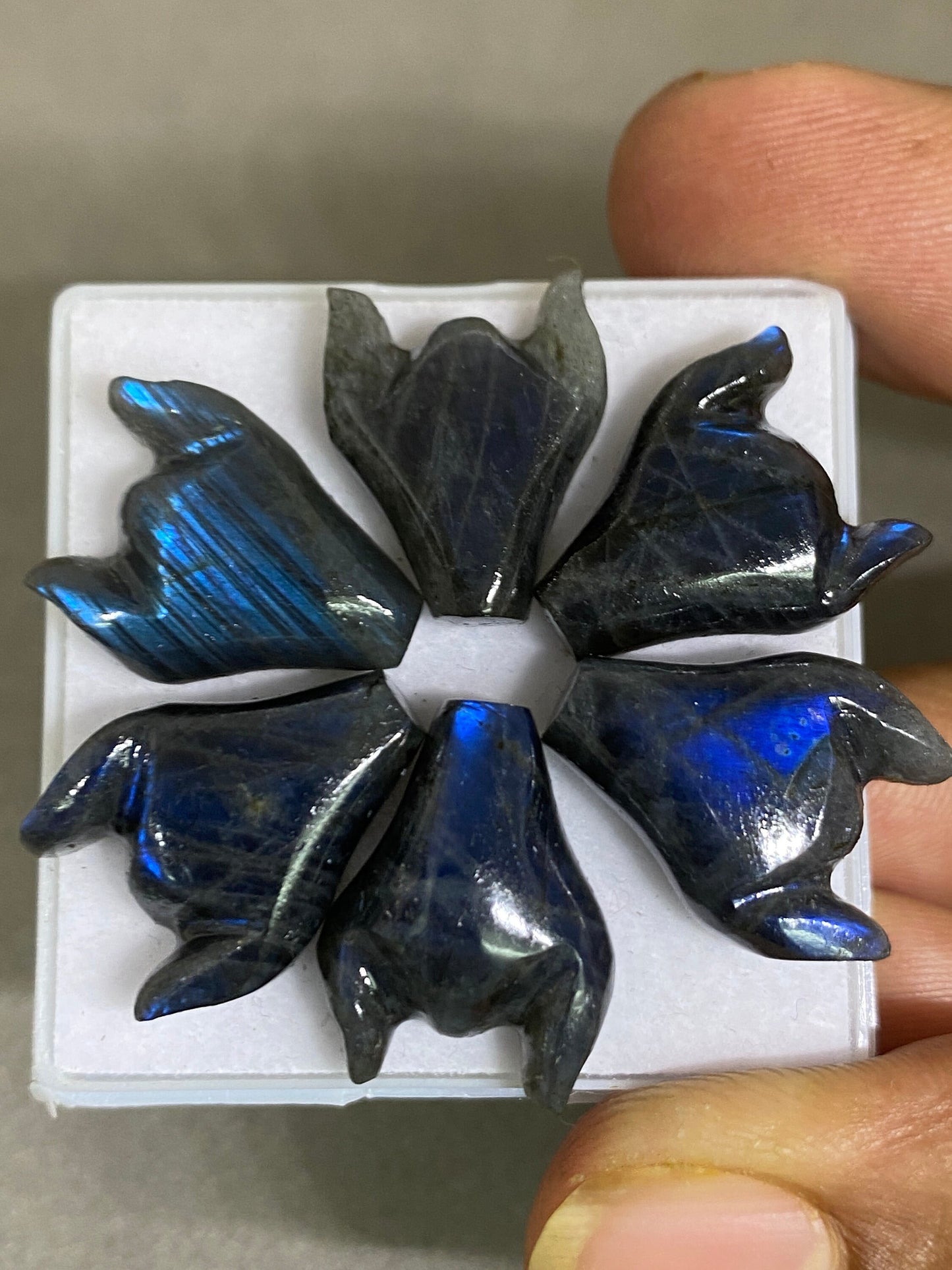 Fascinating rare Black rainbow labradorite bull head carving  blue fire smooth polished pcs 6 wt 41 cts size  labradorite bull head