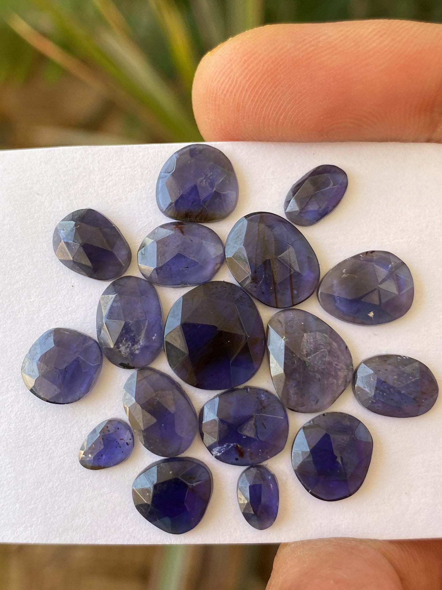 Beautiful Rare iolite rosecut wholesale lot fine quality weight 21 carats size 6x5mm-12x11mm pcs 17 iolite rosecut