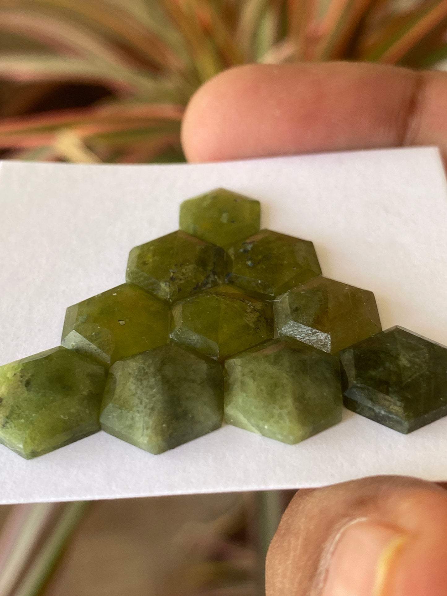 Lovely  vesuvianite hexagon stepcut wholesale lot weight 39 carats pcs 10 size 10mm-12mm flatback gems