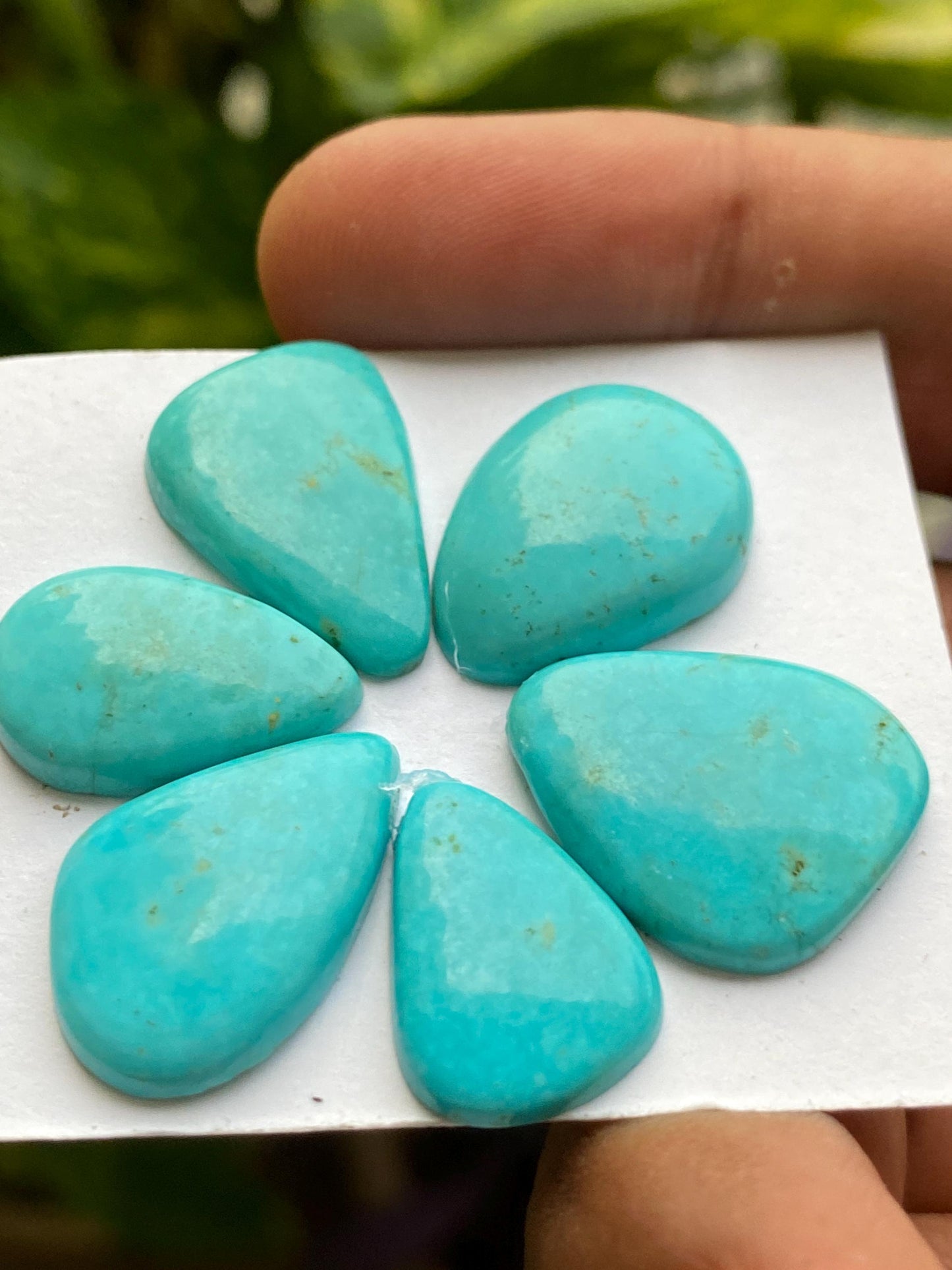 Amazing rare Arizona mines Turquoise cabochons flat natural smooth polished fancy pcs 6 wt 45 carats 19x13-20x17mm turquoise cabochons