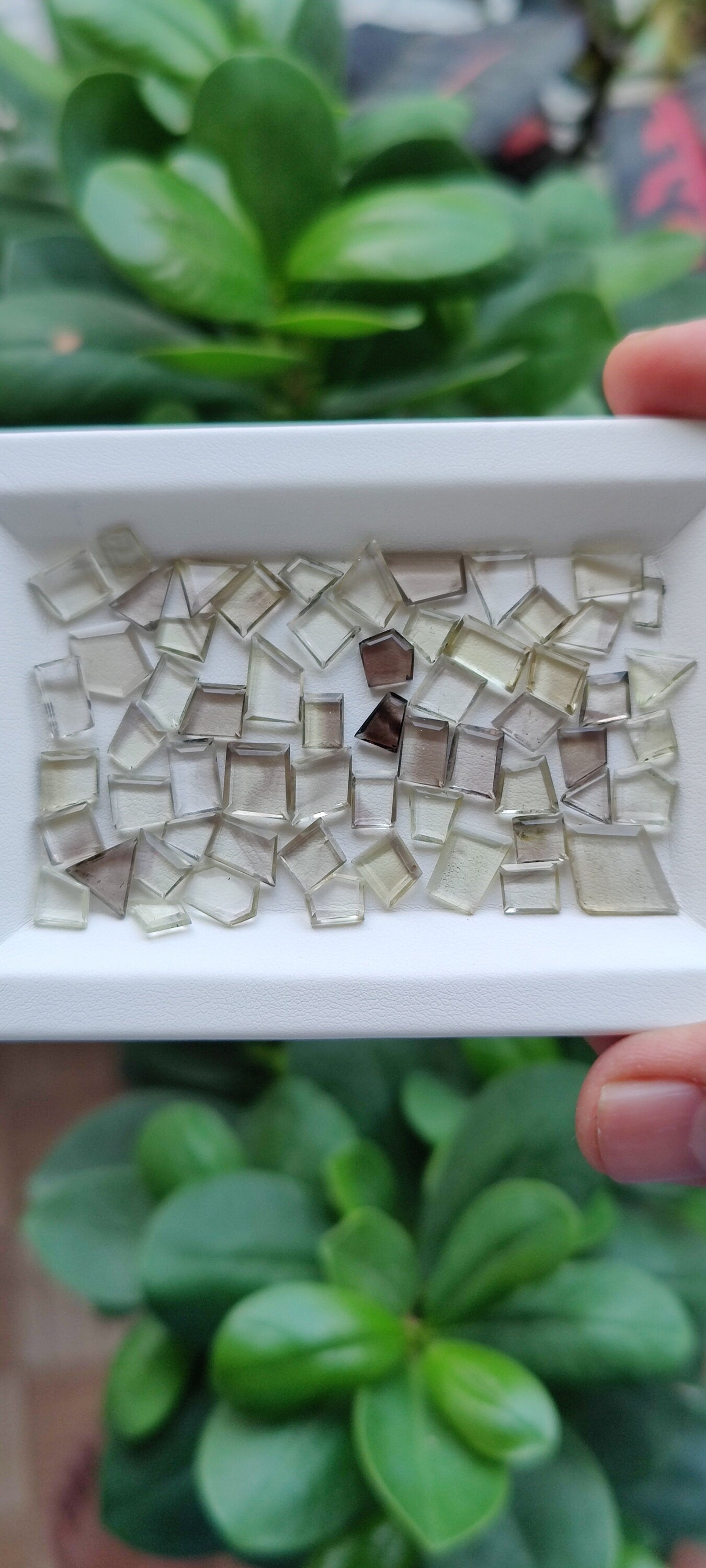 Fascinating bicolor lemon quartz geometric cut flats lot fine  wt 55 cts size 6.6x5.5mm-16.6x11.7mm pcs 60 lemon quartz geometric flats