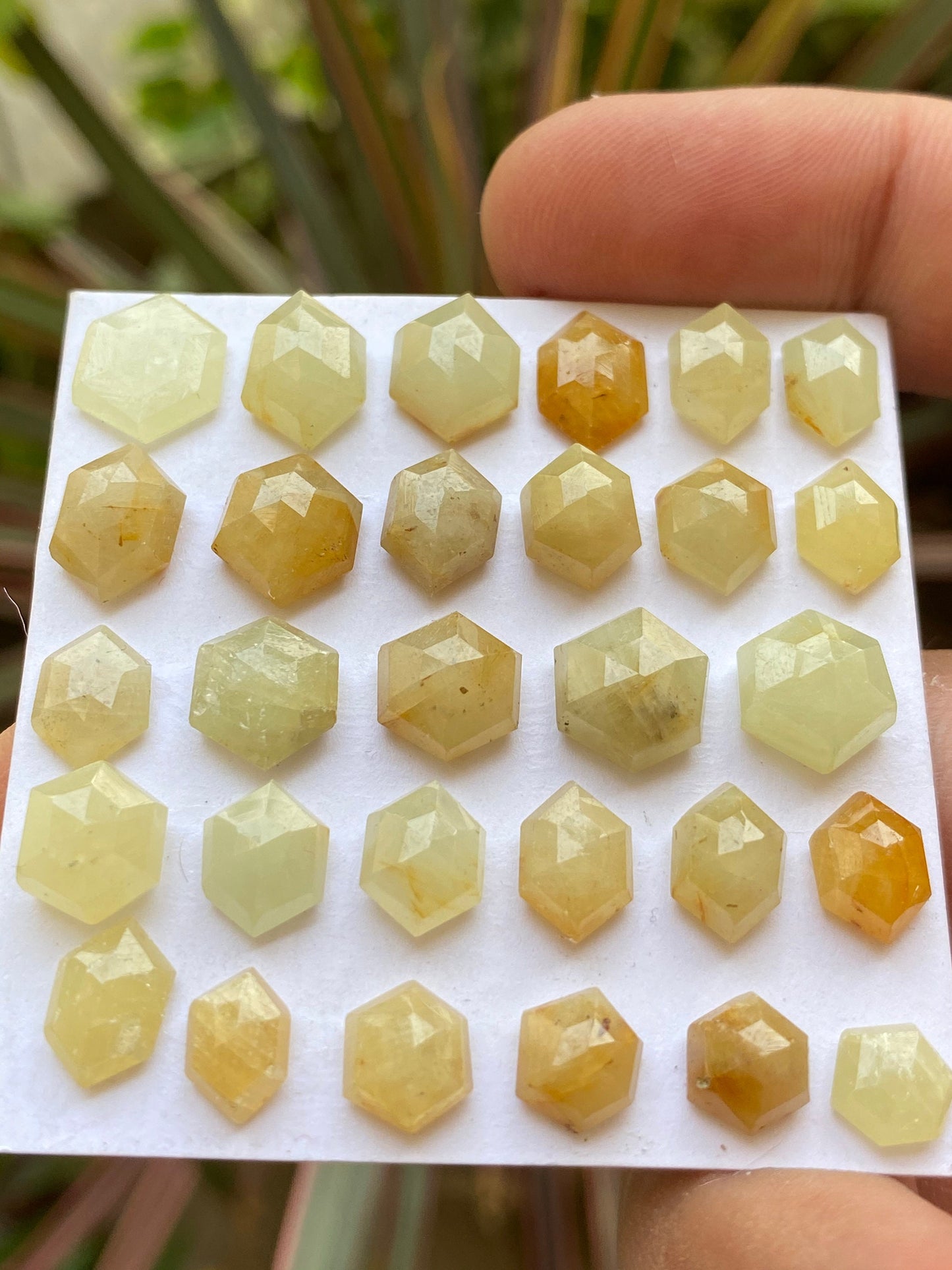 Scintillating Rare light Yellow sapphire hexagon step cuts wt 84 cts  pcs 29 size 6.9x6.6mm-11.7x9.7mm sapphire stepcut hexagon flatbacks