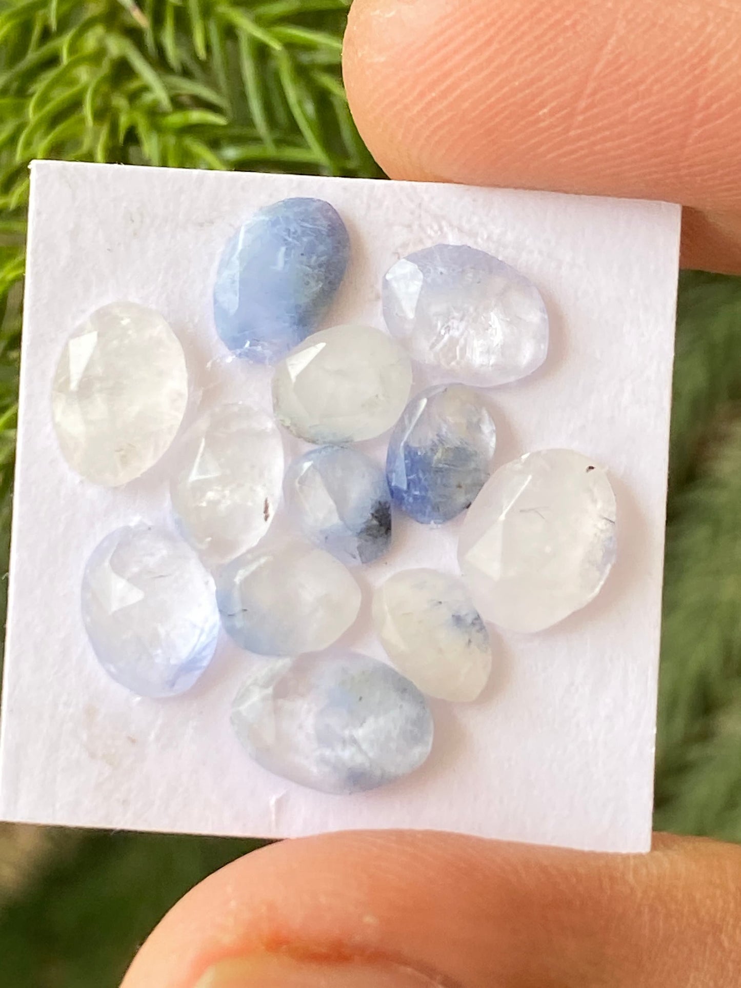 Very rare Dumortierite in quartz rosecut pcs 12 Wt 8.5 cts size 5.5x4.5mm-8.8x5mm  Brazilian mines dumortierite cabochons flatback rosecut