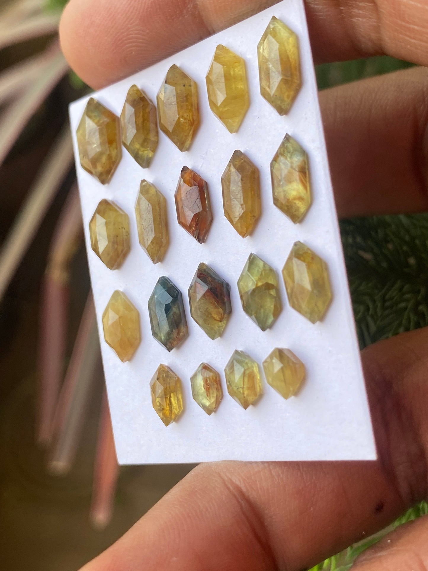 Dazzling very rare Tanzania mines small yellow sapphire Bicolor hexagon geometric wt 26 carats pcs 19 size 6x4.5mm-12.3x8mm sapphire stepcut