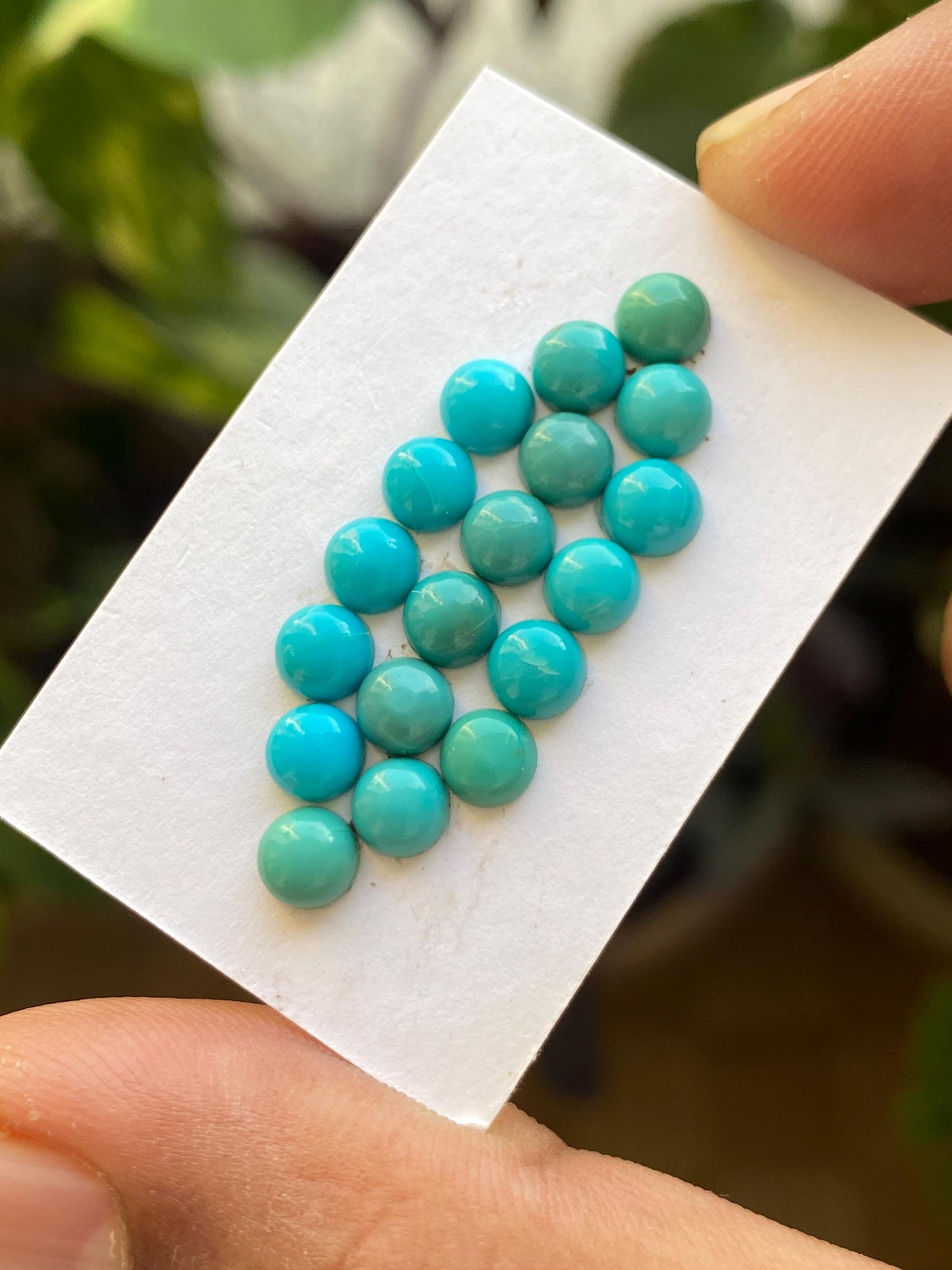 Cute Rare Arizona mines Turquoise round cabochons  natural smooth polished pcs 18 wt 7.85 carats 5 mm turquoise cabochons