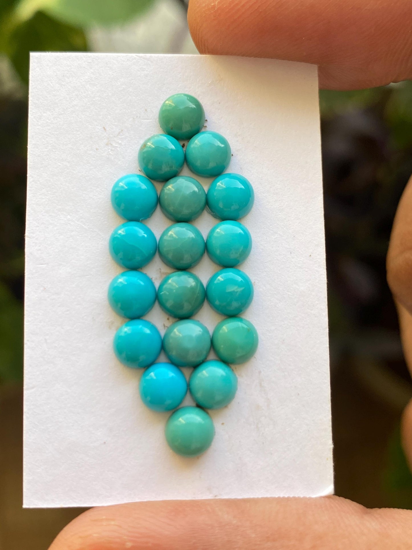 Cute Rare Arizona mines Turquoise round cabochons  natural smooth polished pcs 18 wt 7.85 carats 5 mm turquoise cabochons