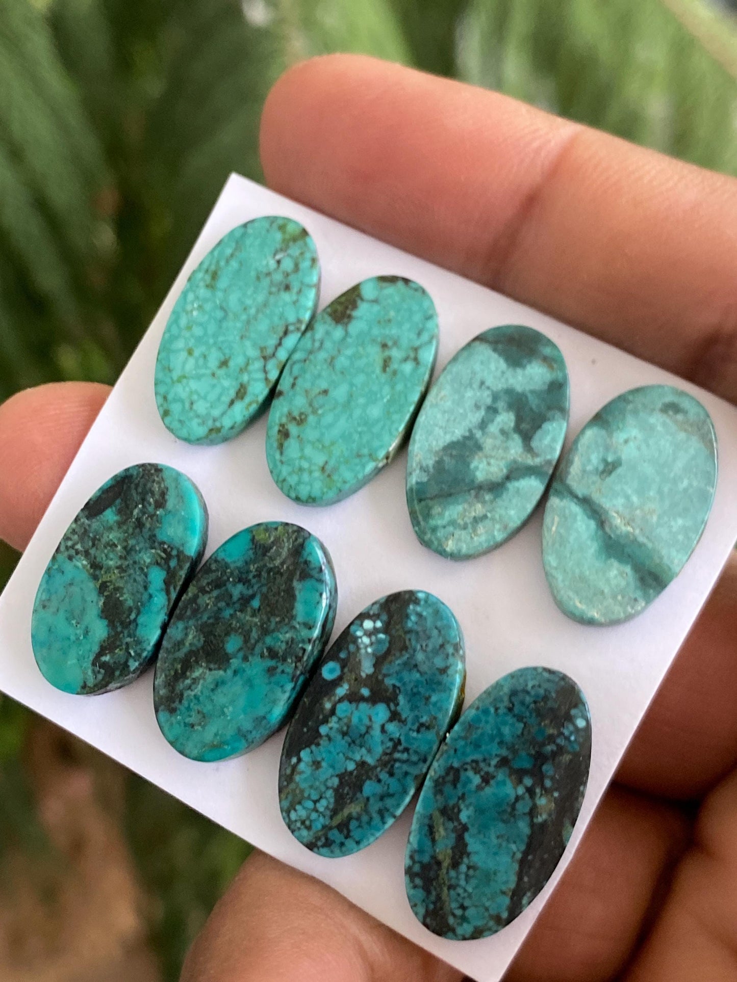 Rare Turquoise pairs natural hubei mines smooth polished cloud mountain pcs 8 wt 56 carats big 20x12-21x11mm turquoise earrings supply