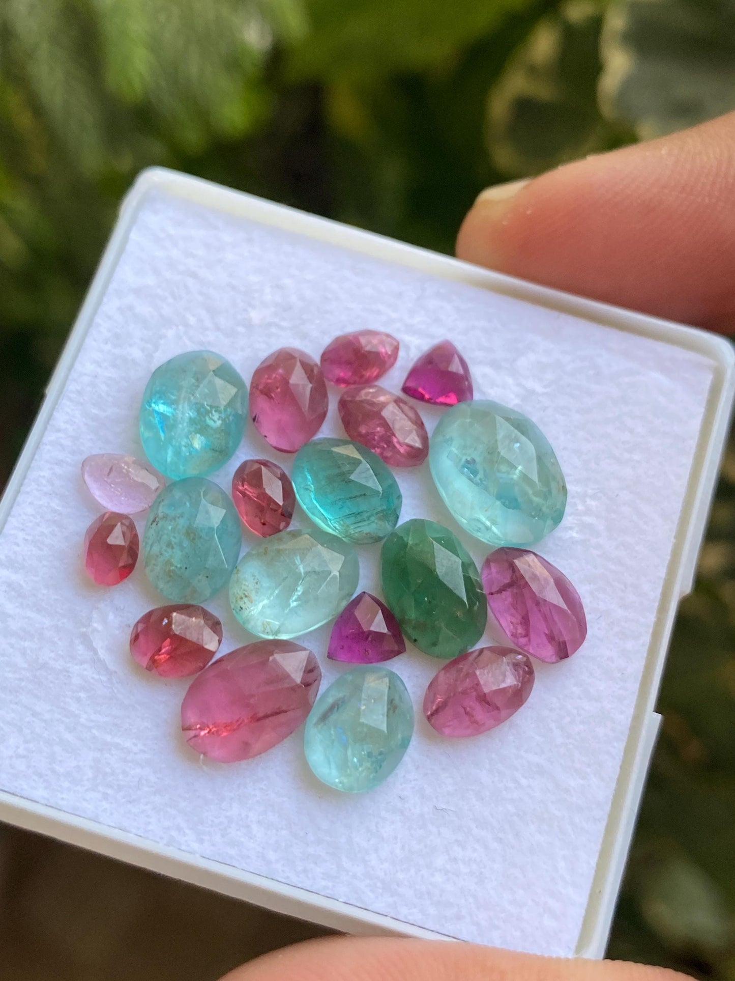 Gorgeous Blue green apatite rosecut Rhodolite pink garnet  wt 26.75 carats pcs 19 rosecut  flats Small size 6x3mm-12x9mm apatite rosecut