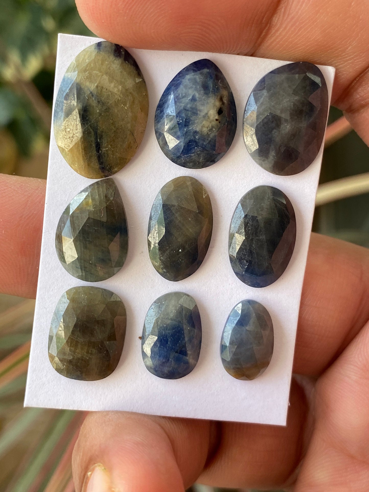 Very rare Elegant bi color sapphire rosecut lot blue yellow grey weight 50 carats pcs 9 size 12.5x8.1mm-19.6x13.3mm Bicolor sapphire rosecut