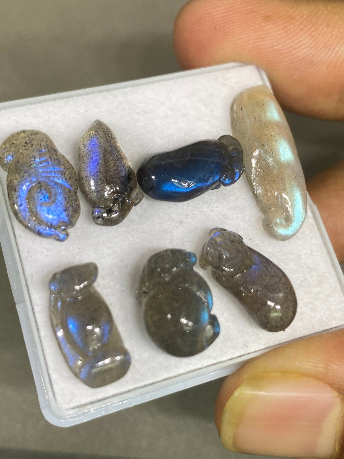 Blue fire labradorite mix carving mouse brinjal tamarind blue fire smooth polished pcs 7 wt 34 cts size 19x12-23x8mm labradorite carving