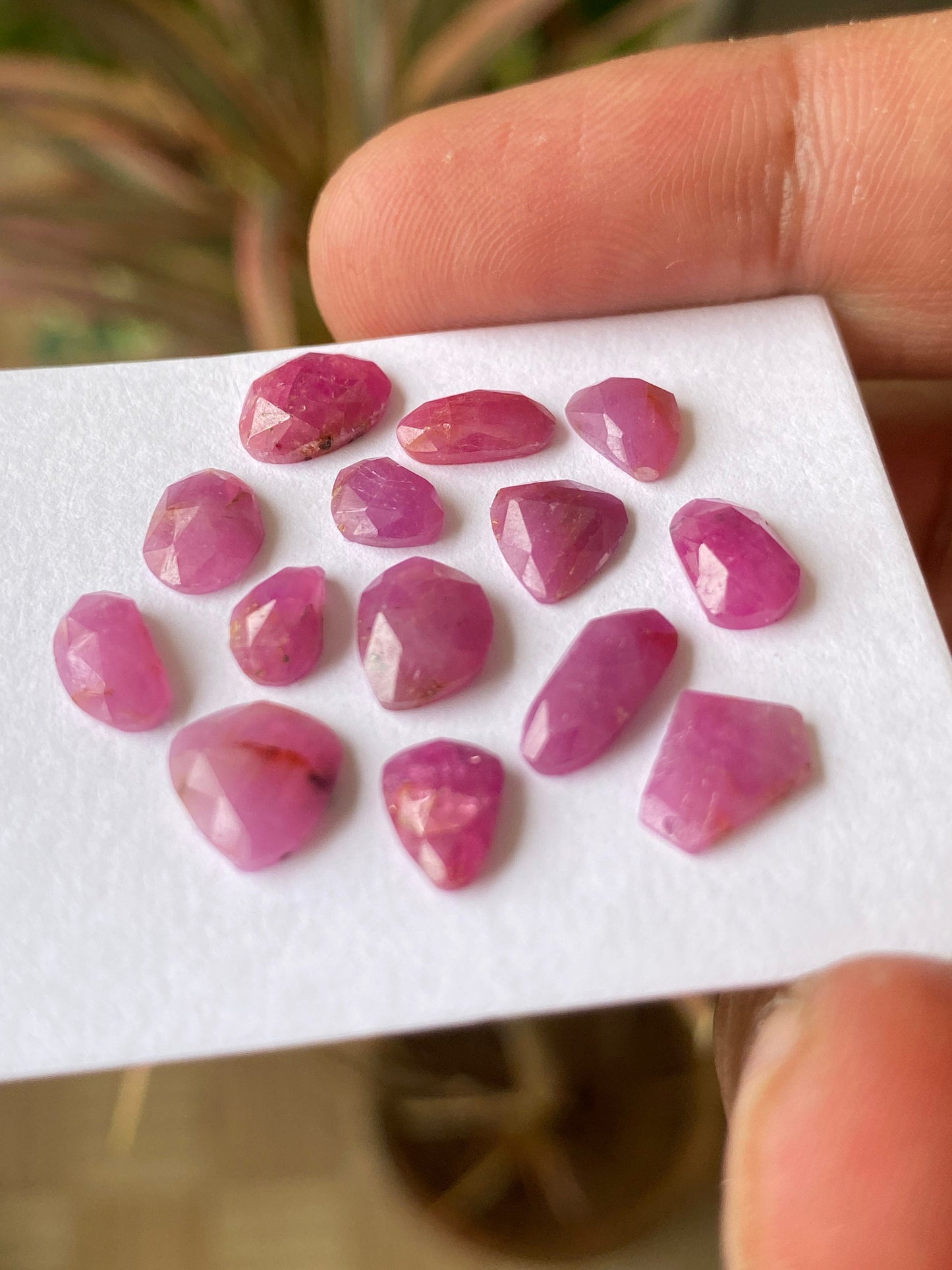 Very Rare natural unheated untreated ruby rosecut flats amazing color mixed shapes wt 16 cts  pcs 14 size ruby cut