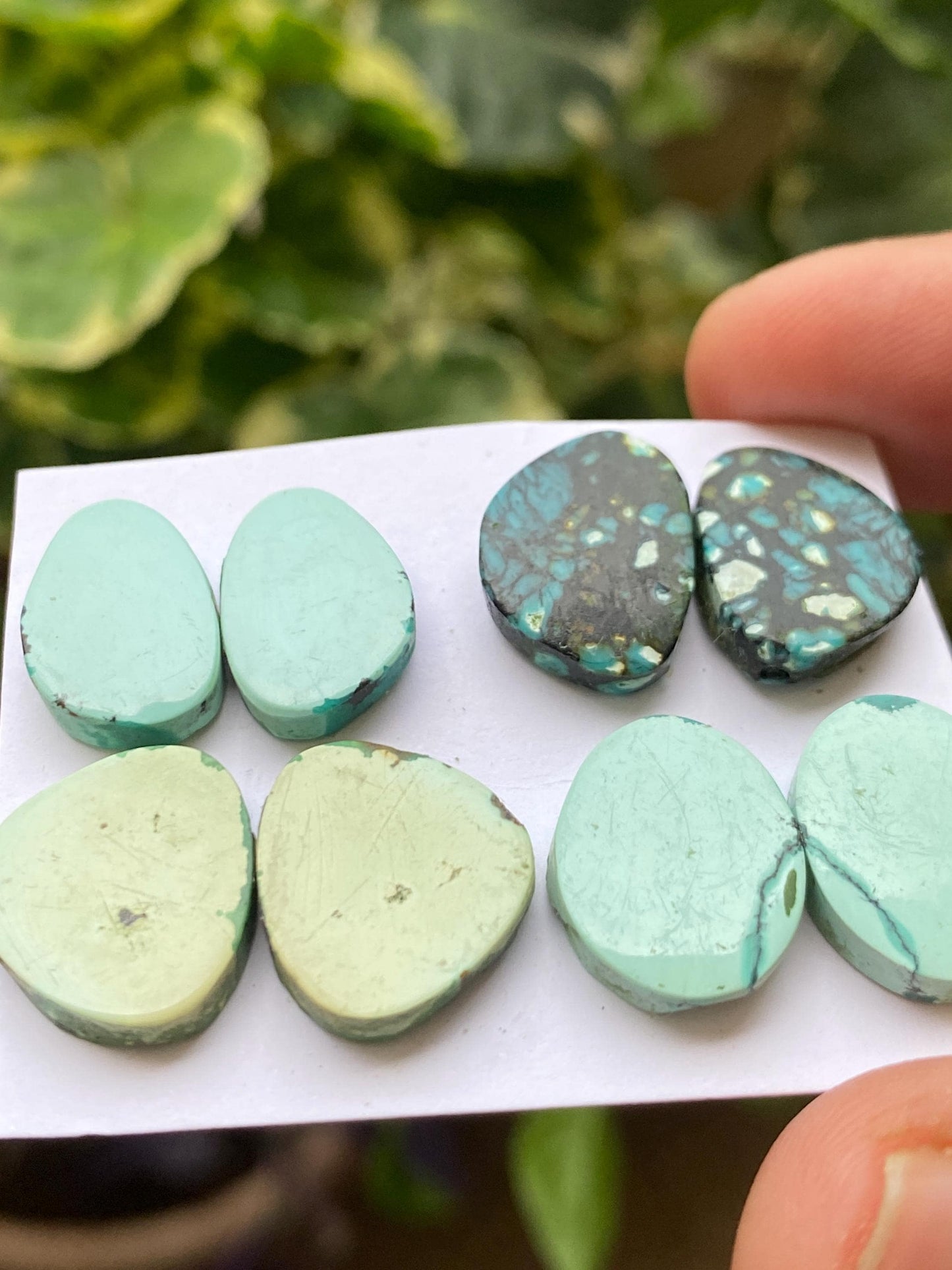 Cute Turquoise pairs natural hubei mines smooth polished cloud mountain pcs 8 wt 44 carats 15x10-15x14mm turquoise earrings supply