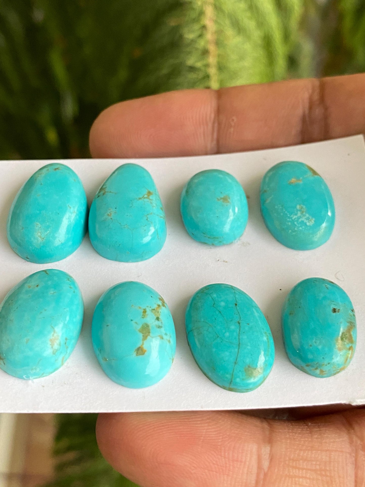 Stunning rare Arizona mines Turquoise cabochons  natural smooth polished ovals pcs 8 wt 91 carats 17x12-22x14mm turquoise cabochons oval