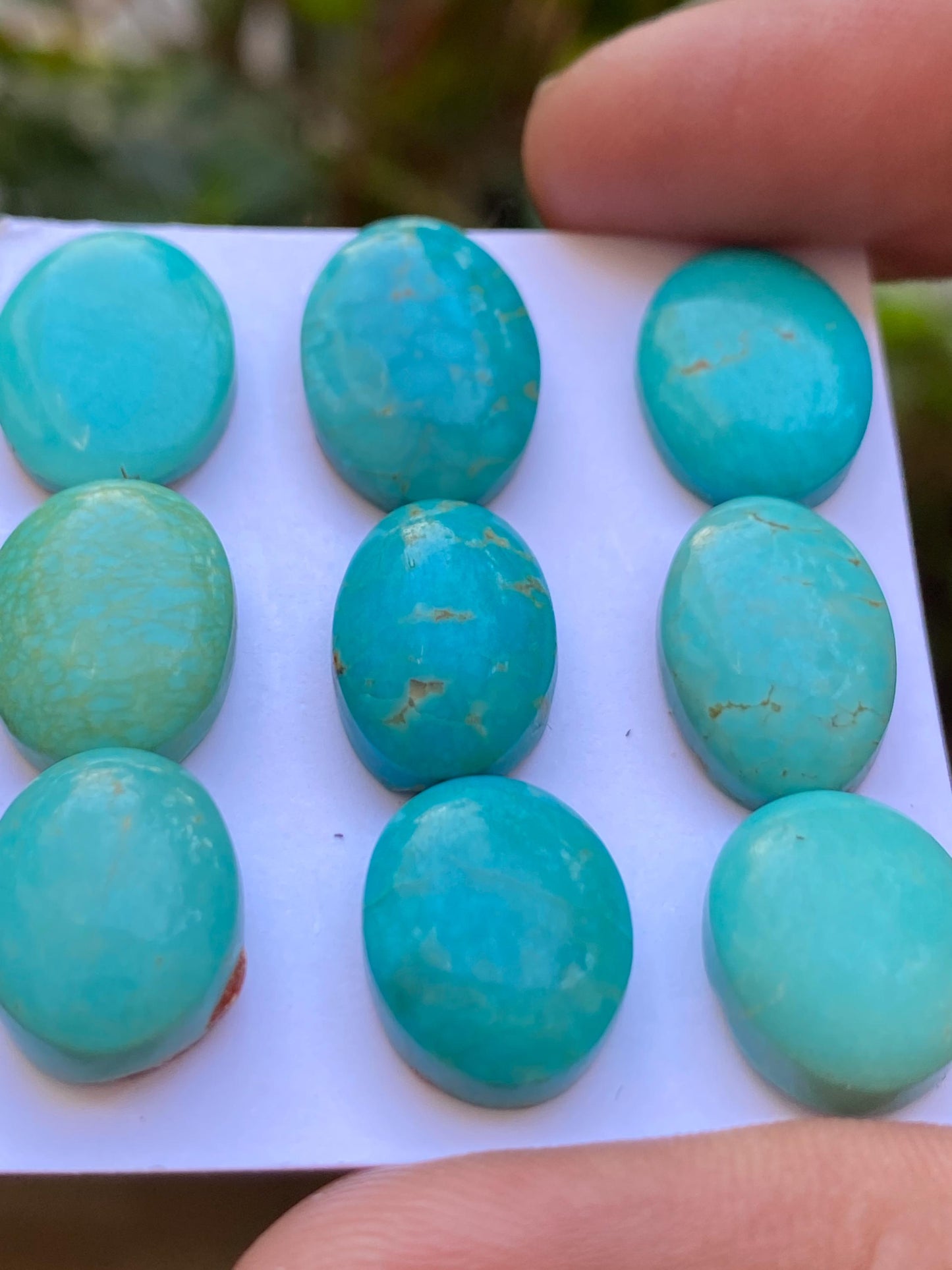 Vivacious rare Arizona  mines Turquoise cabochons  natural smooth polished ovals pcs 9 wt 65.20 carats 14x11-17x12mm turquoise cabochons