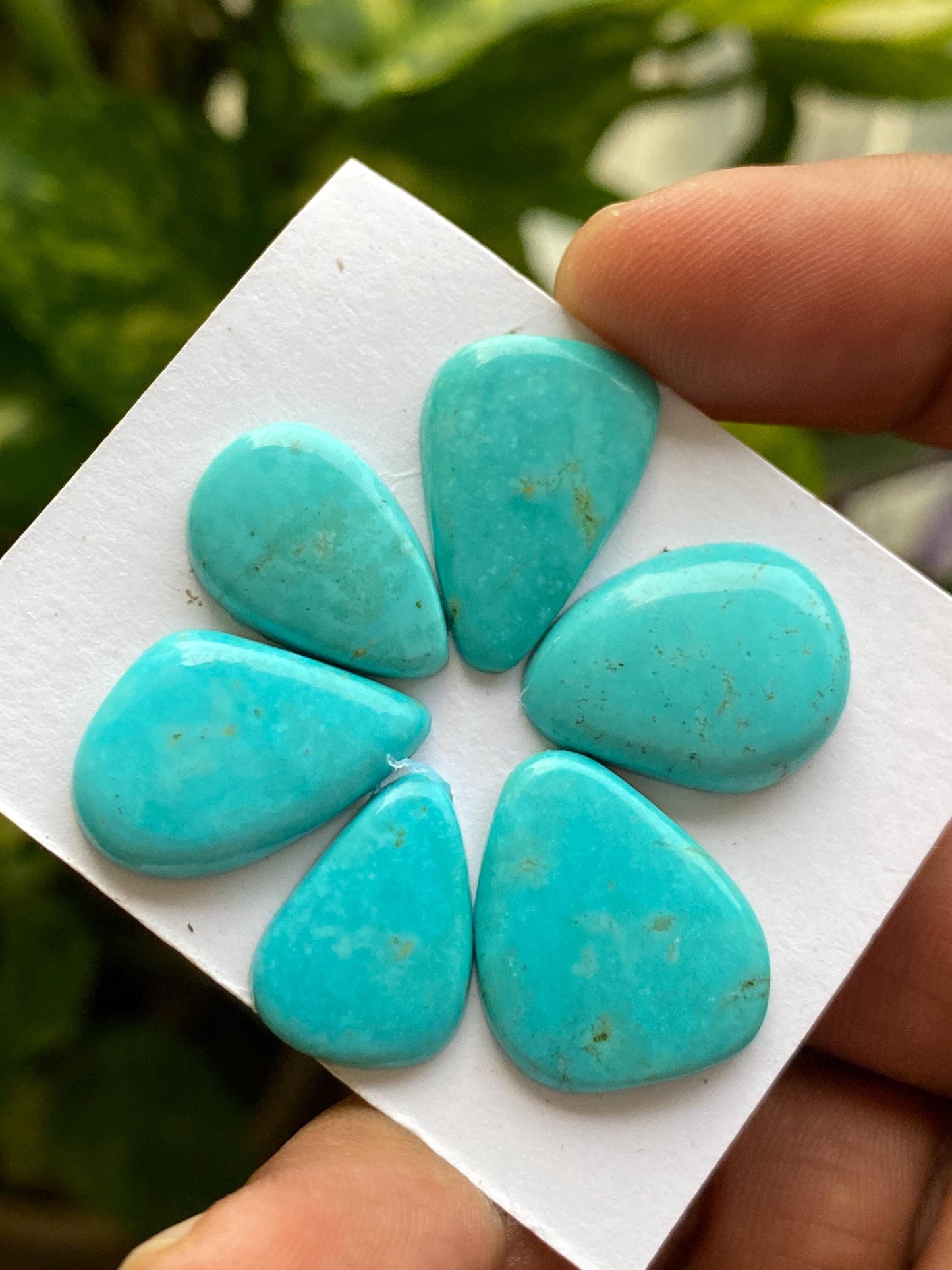 Amazing rare Arizona mines Turquoise cabochons flat natural smooth polished fancy pcs 6 wt 45 carats 19x13-20x17mm turquoise cabochons