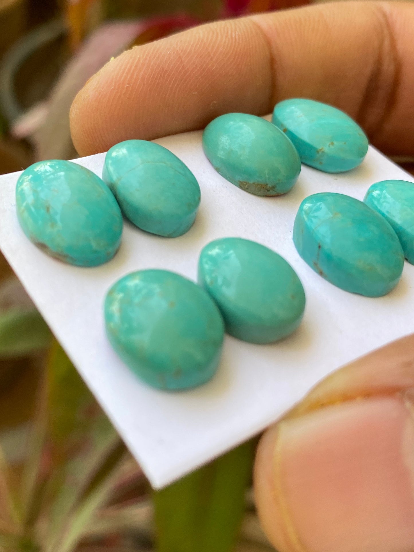 Awesome rare Turquoise cabochons pair earrings natural Arizona mines smooth ovals pcs 8 wt 41 carats 13x9-14x10mm turquoise cabochon