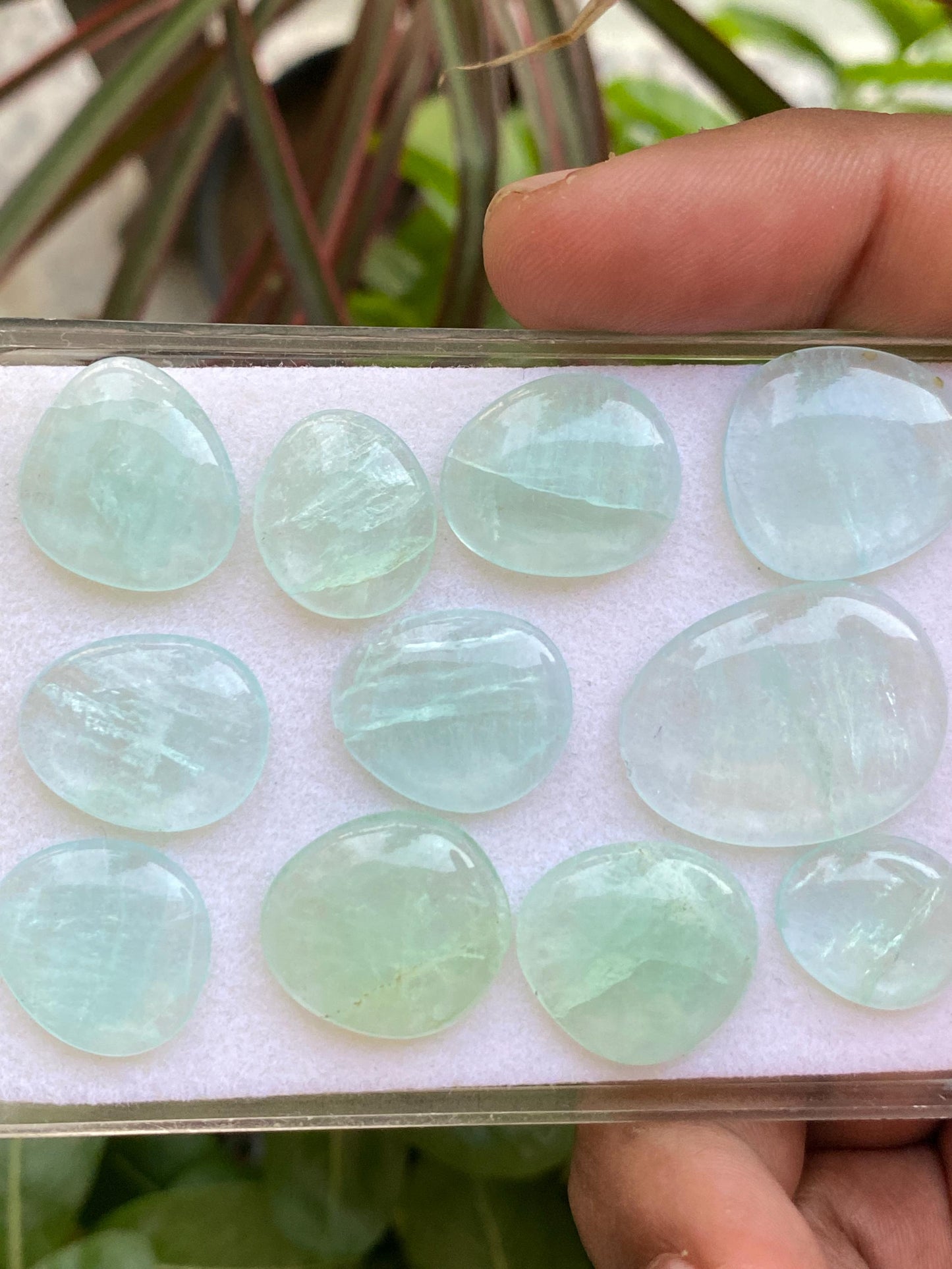 Mint Fluorite pairs smooth polished matched    sea  green size 15x13mm-25x19mm pcs 11 wt 104  cts fluorite  smooth polished cabochons