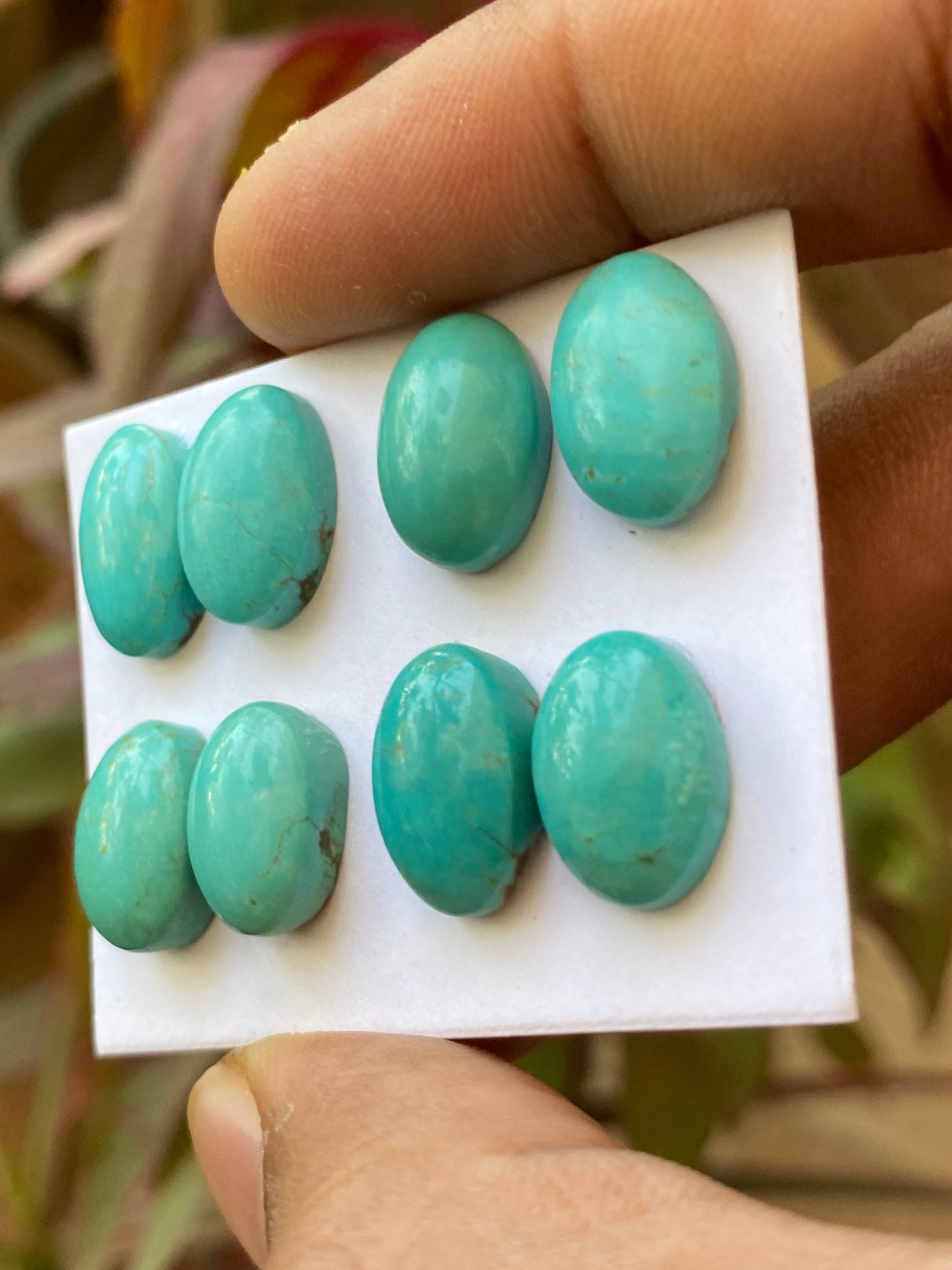 Awesome rare Turquoise cabochons pair earrings natural Arizona mines smooth ovals pcs 8 wt 41 carats 13x9-14x10mm turquoise cabochon