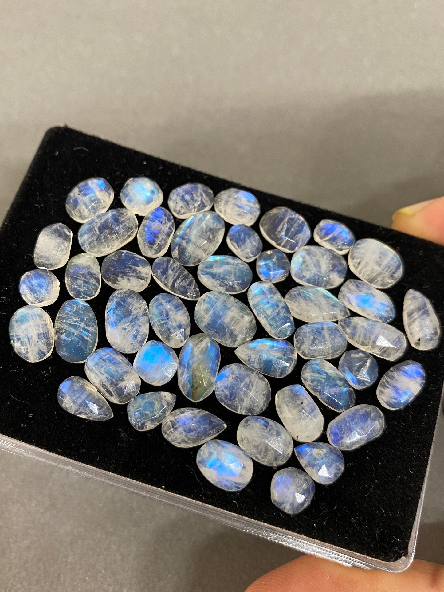 Vivacious Blue fire rainbow moonstone unusual faceted rosecut pcs 49 wt 67 cts  size 6x5.5mm-10x8mm beautiful fire rainbow moonstone facted