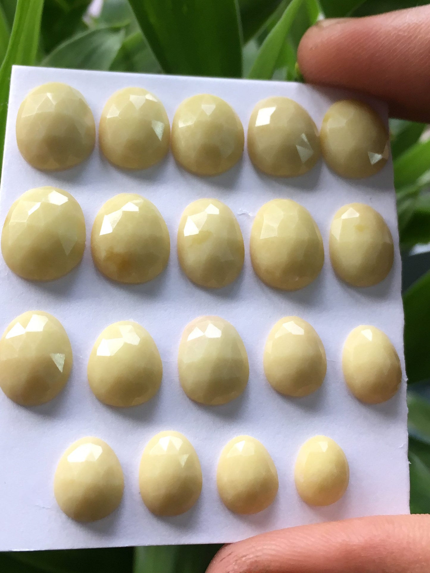 Cute yellow agate rosecut weight 41.70 carats size 7.5x7mm to 13x9mm pcs 19 bright color yellow agate