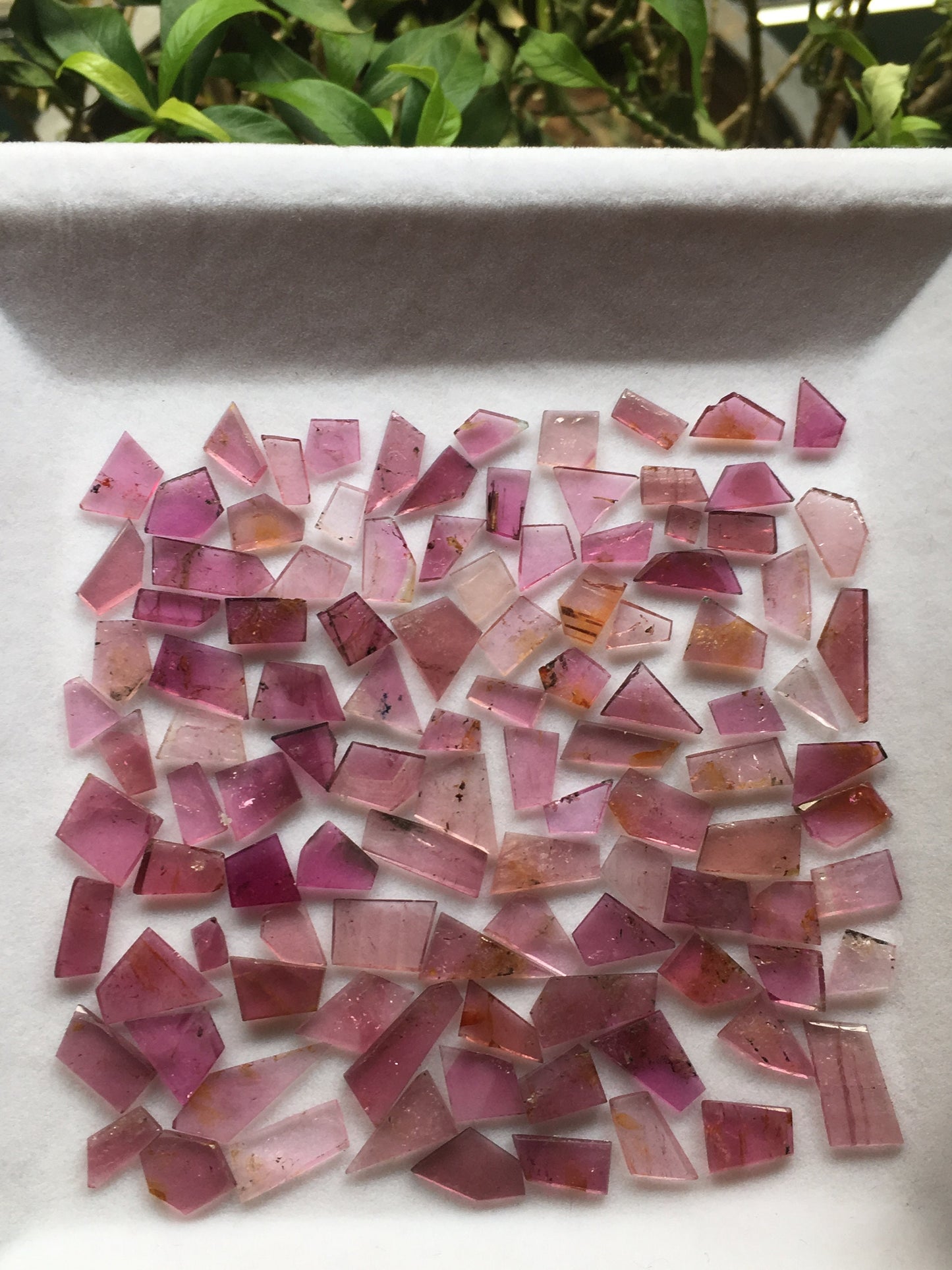 Pink tourmaline flats 6.3x5.4mm to 9.3x6.9mm 72.45 carats 106 Pcs