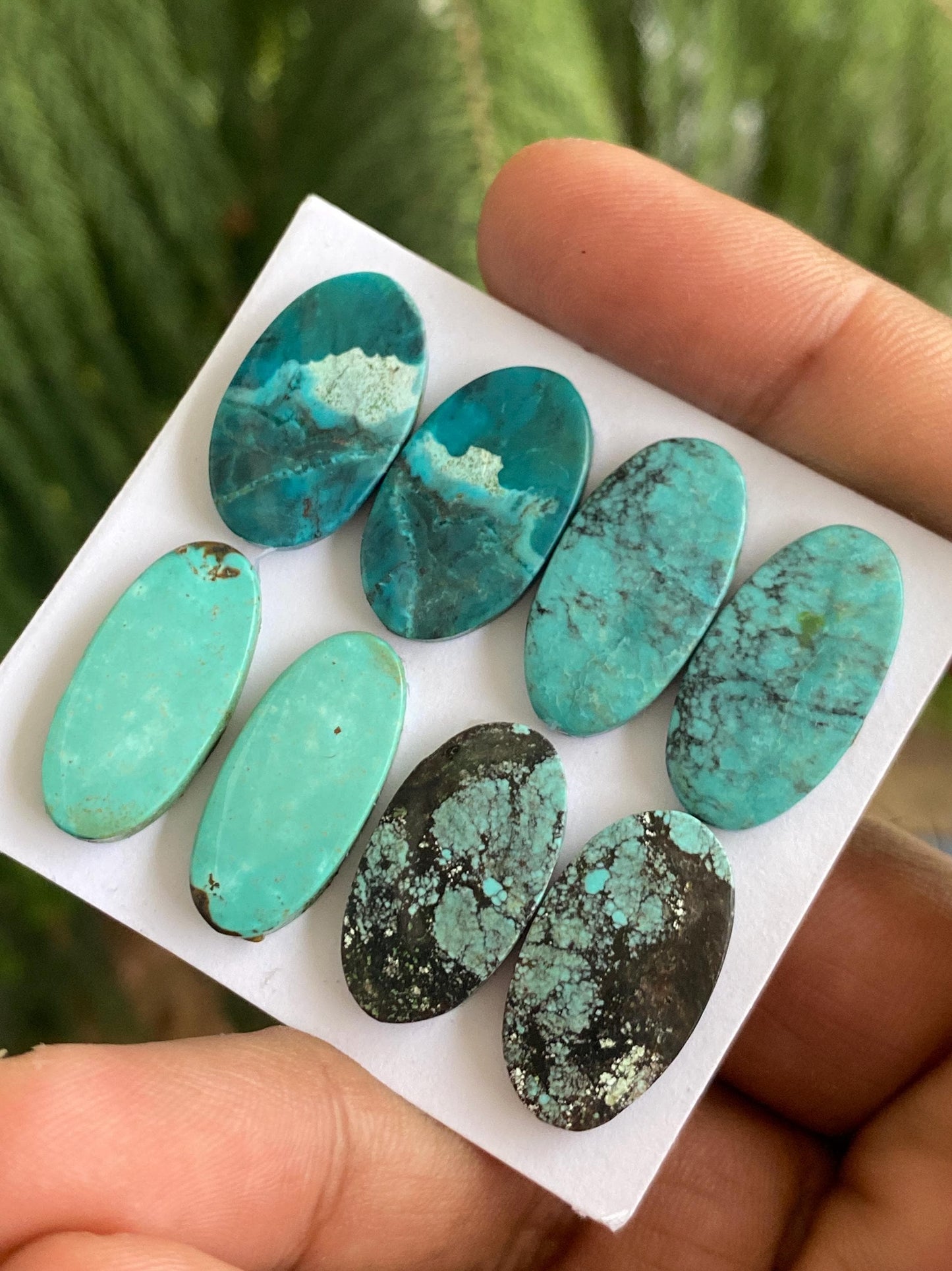 Gorgeous Turquoise pairs natural hubei mines smooth polished cloud mountain pcs 8 wt 71 carats big 22x13-23x12mm turquoise earrings supply