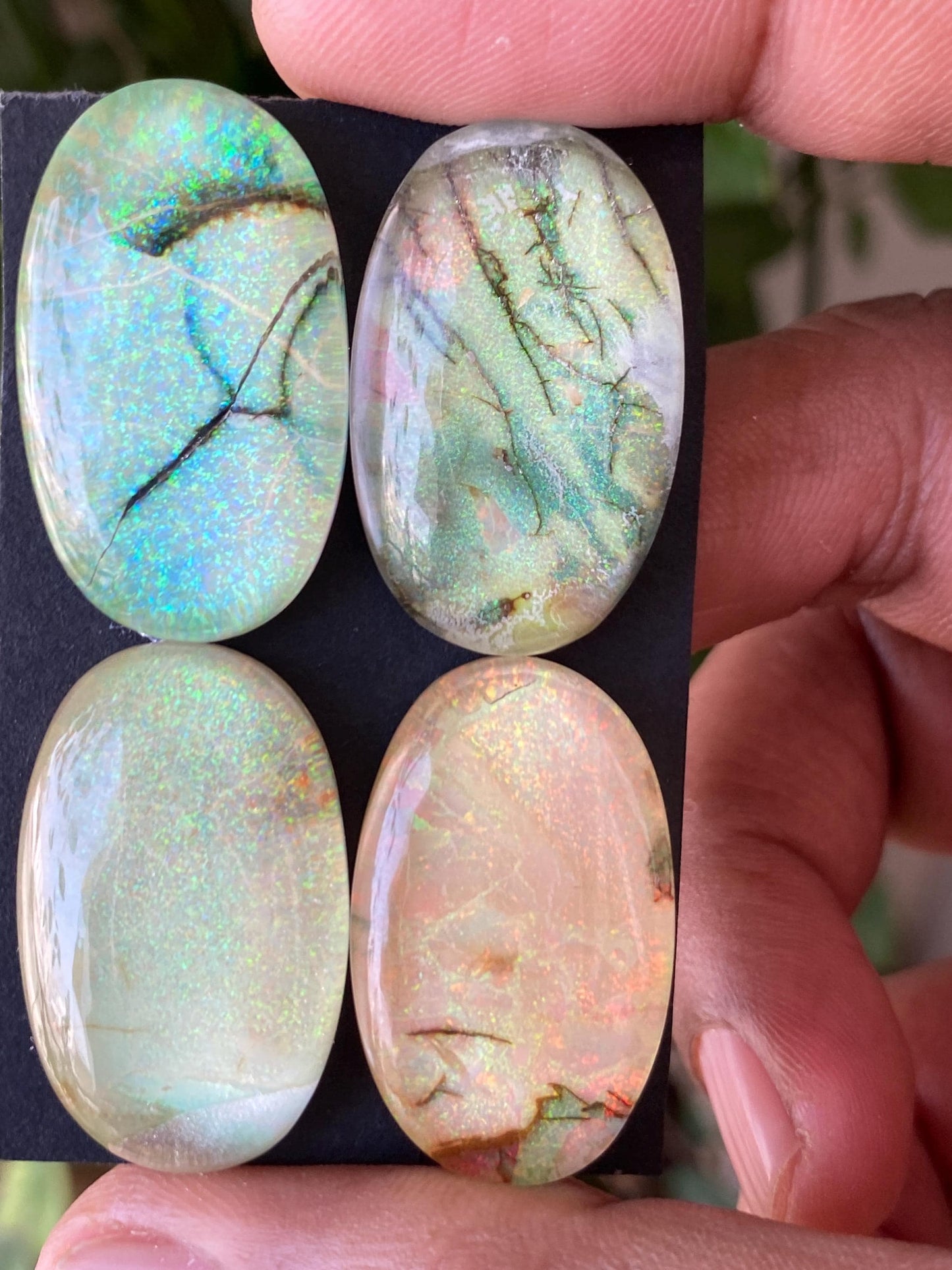 Mesmerising Multi fire sterling opal monarch opal crystal doublet oval cabochon wt 127 carats rare big size 30x18mm ring pendant supply