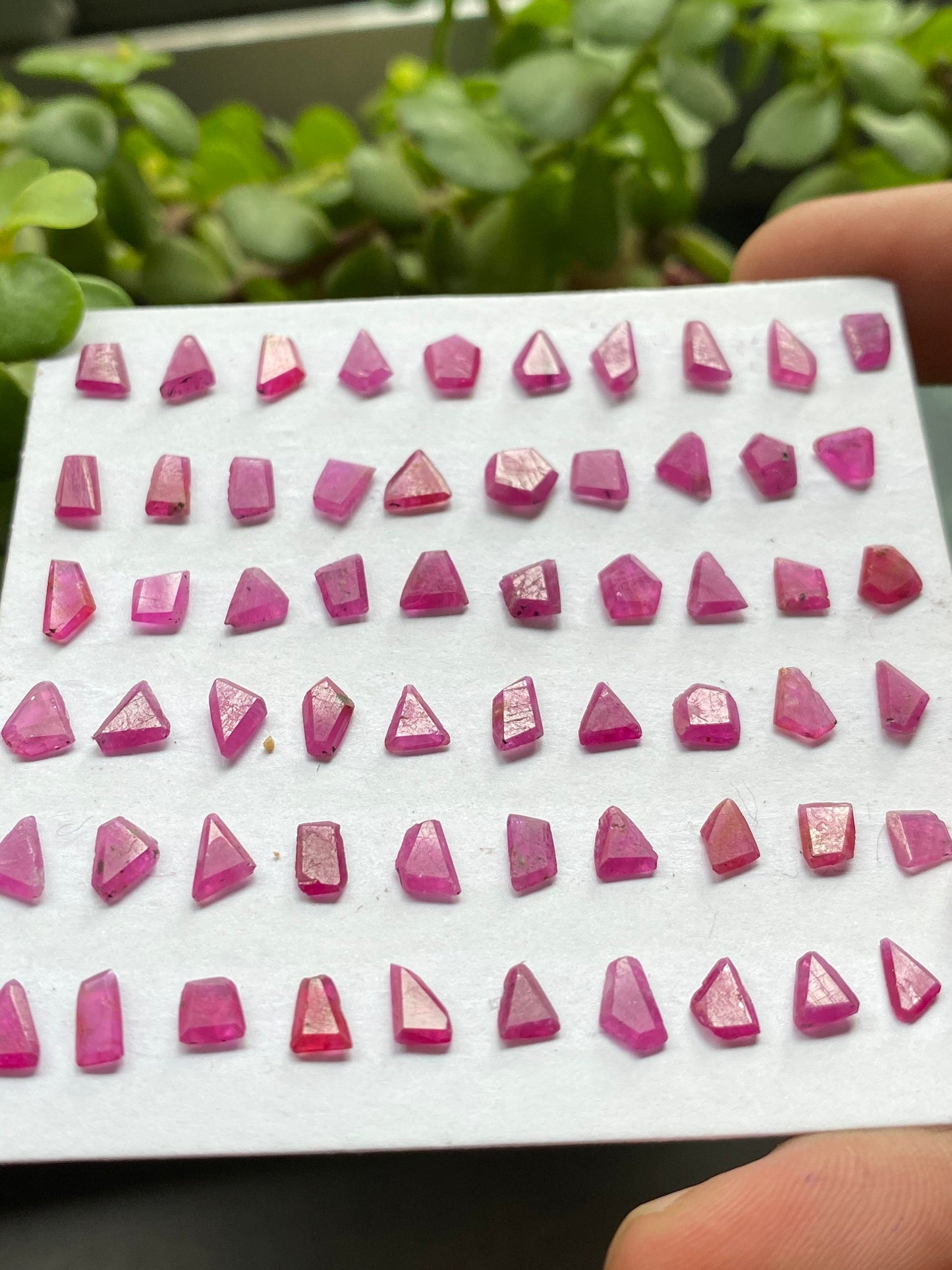 Rare ruby flats step cut side faceted flats weight 25.35 cts pcs 61 size 4.7x4.4mm-6.4x6.2mm natural unheated untreated ruby  small size